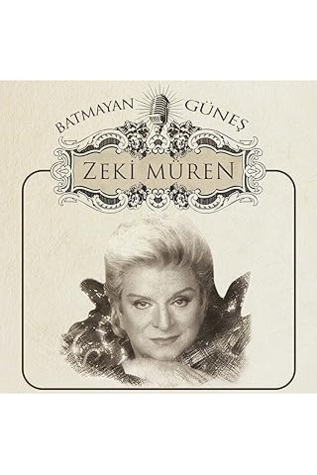 NETWORK ART Gereksiz Şeyler Zeki Müren Batmayan Güneş Plak