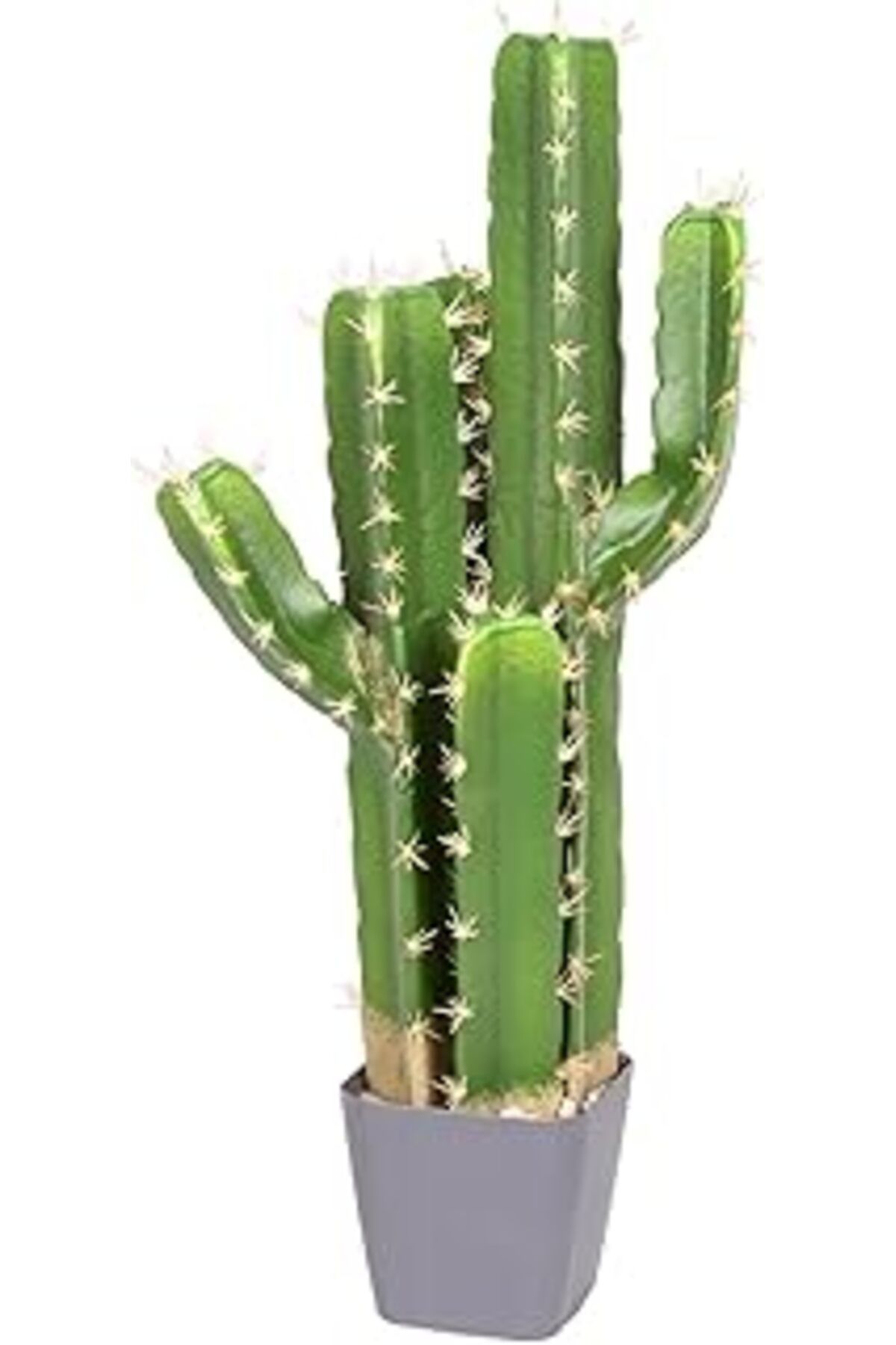 ASİTAN Herdekora Yapay Kaktüs Saksılı 3 Gövde 70 Cm.