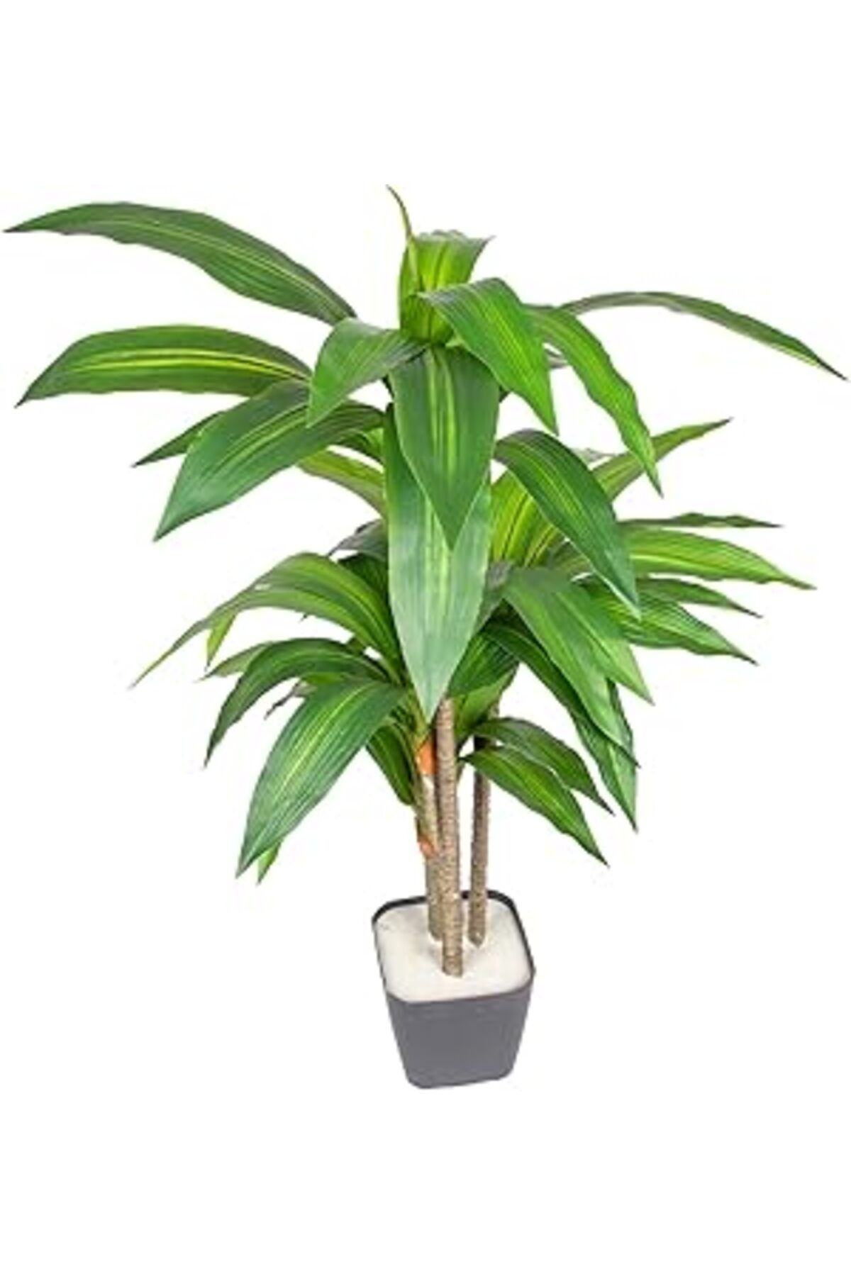 ASİTAN Herdekora Yapay Dracena Gerçek Dokulu Yeşil 90 Cm.