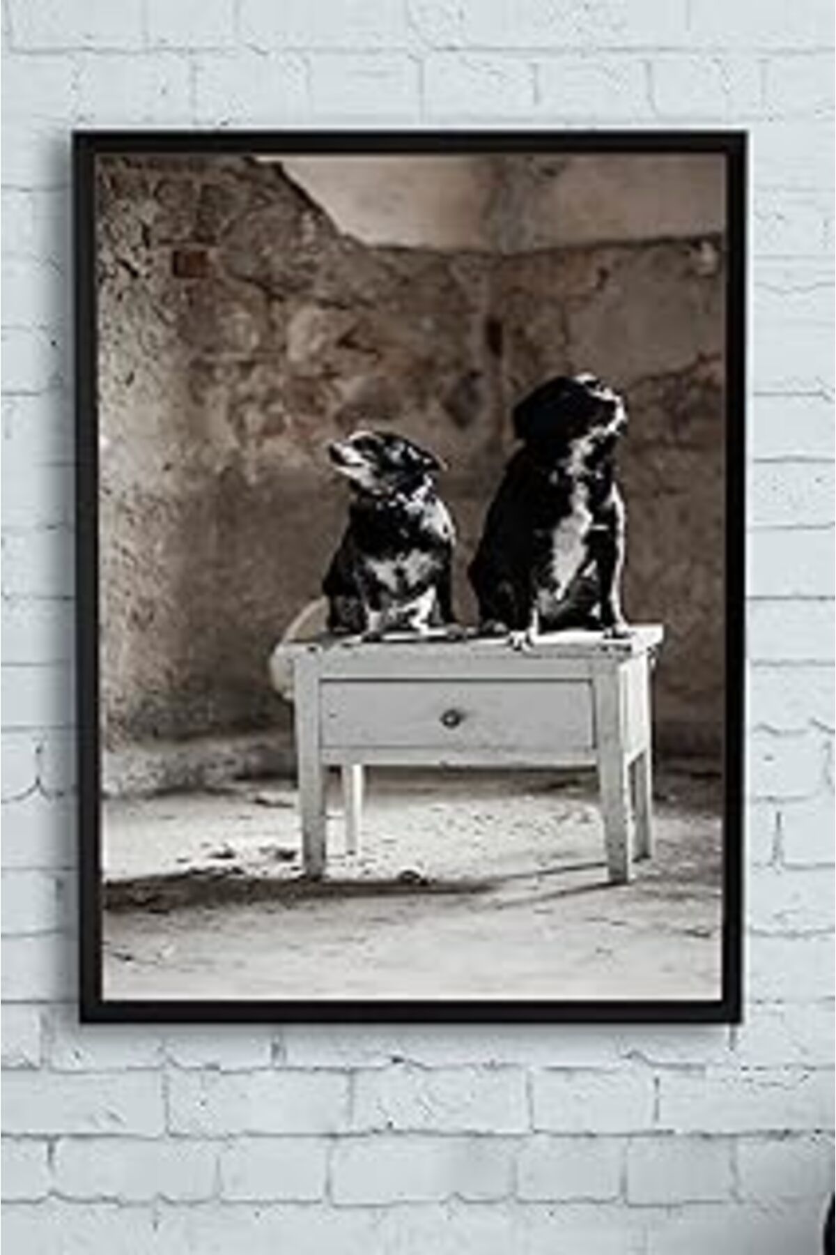 Pazarcan Postermanya (Pster11760) Köpek Hayvan Çerçeveli Tablo (30 X 40Cm)