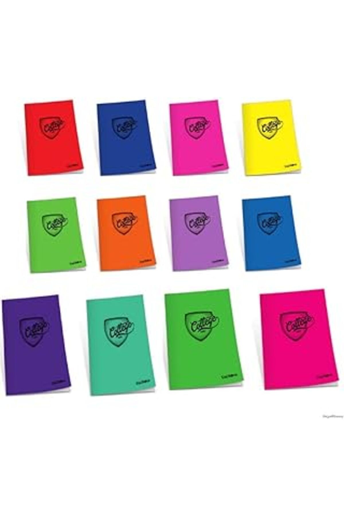 ASİTAN Çınar 76002 Pp Kapak Defter
