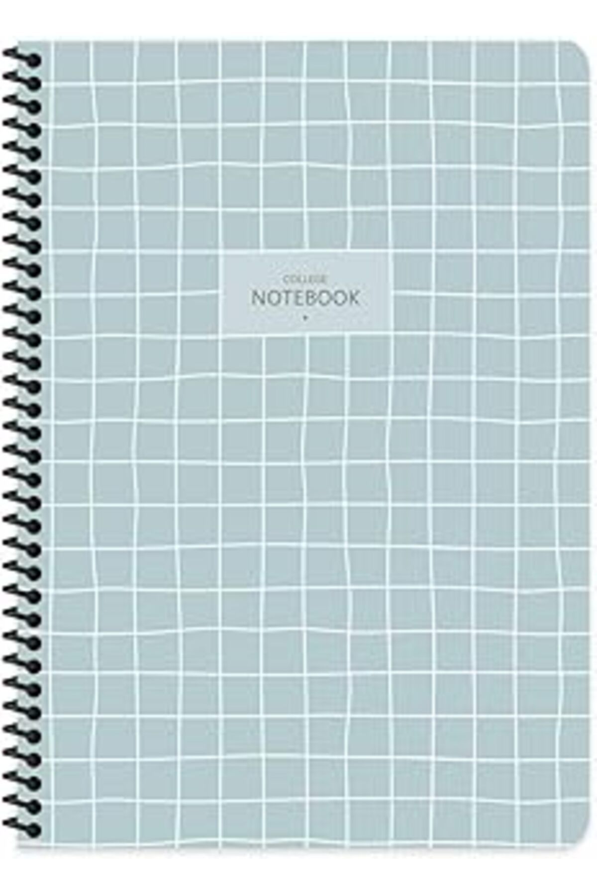ASİTAN Keskin Color A4 80 Yaprak Kareli Pp Kp. Spiralli College Defter