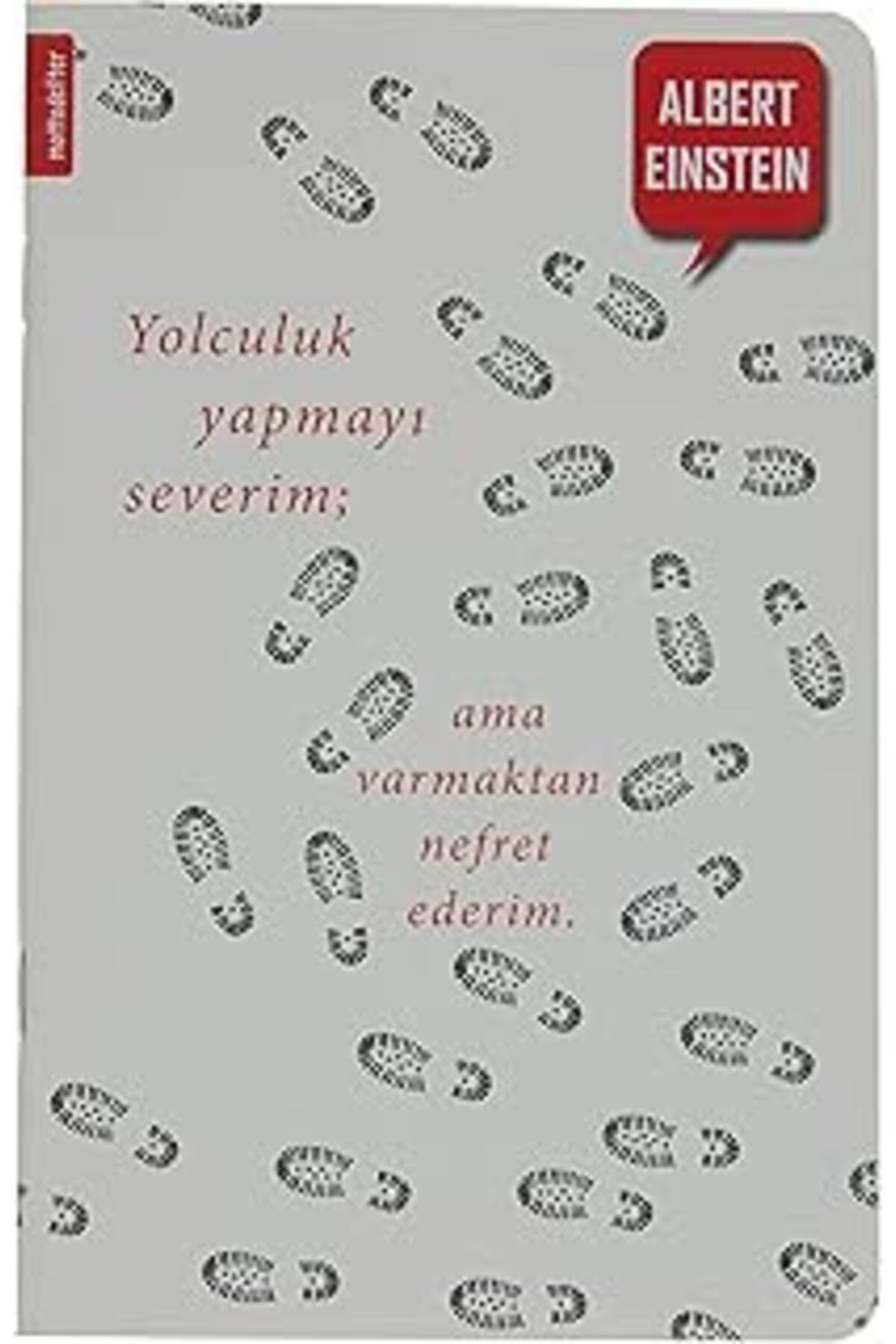 Pazarcan Einstein - Motto Defter (Kapak Resmi Değişebilir)