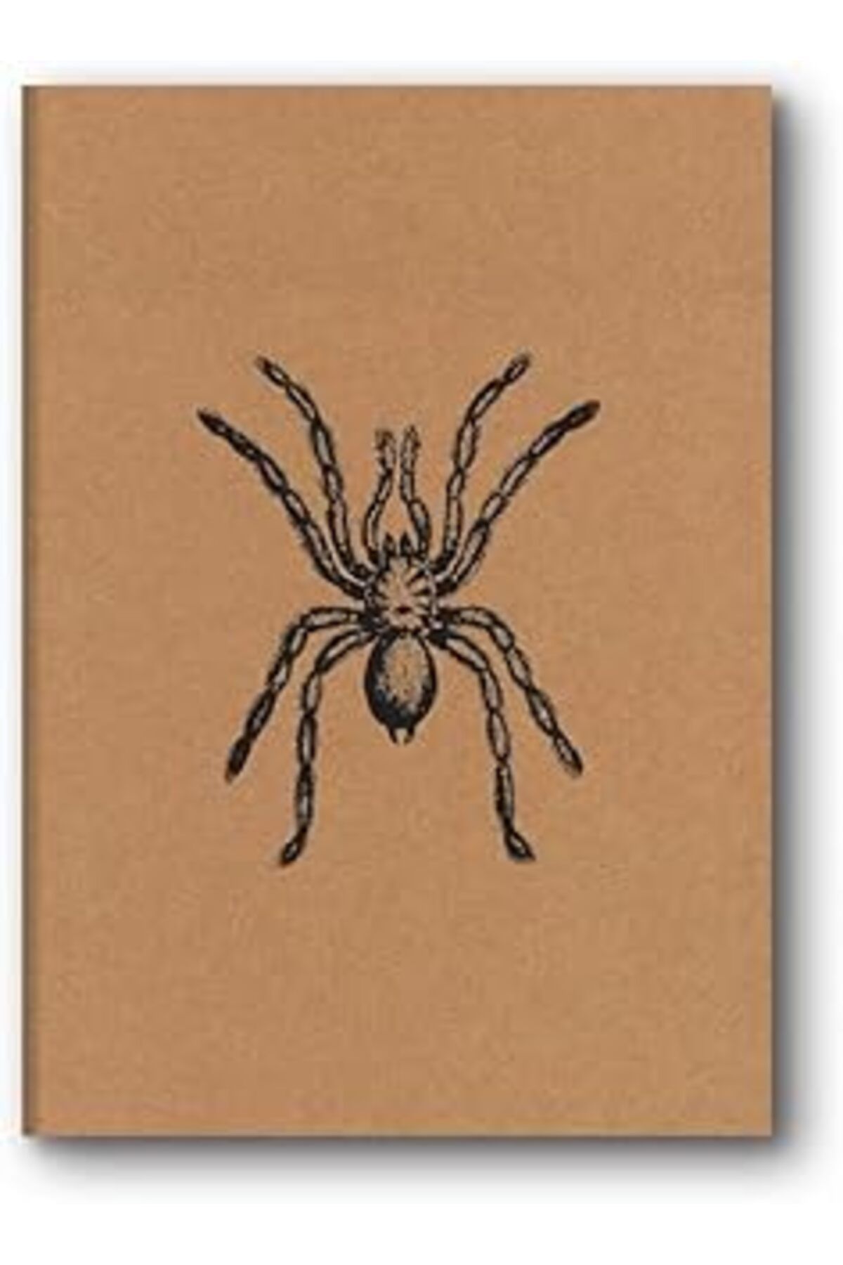 ASİTAN Le Color Kraft Defter Düz Örümcek