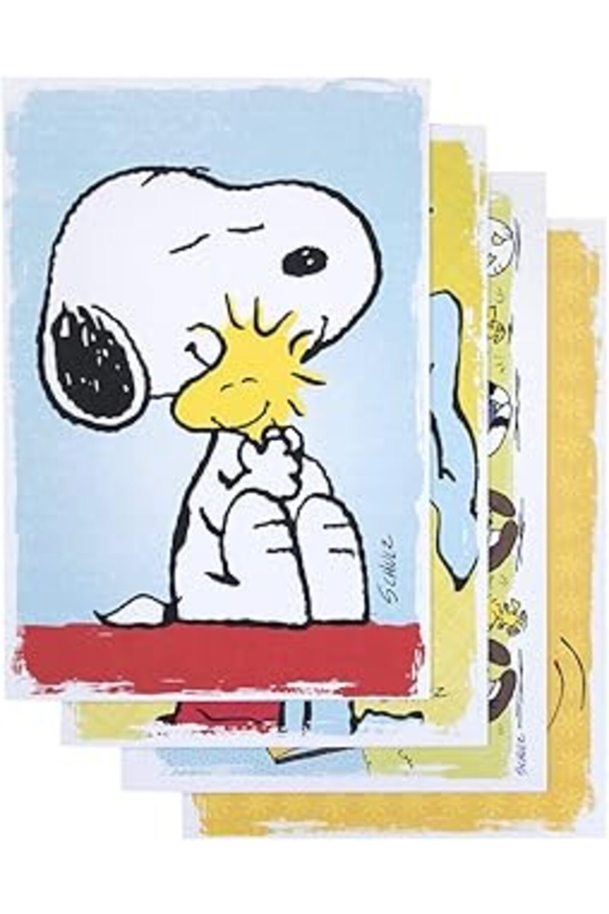 ASİTAN Dayspring Encouragement Peanuts - 12 Paket