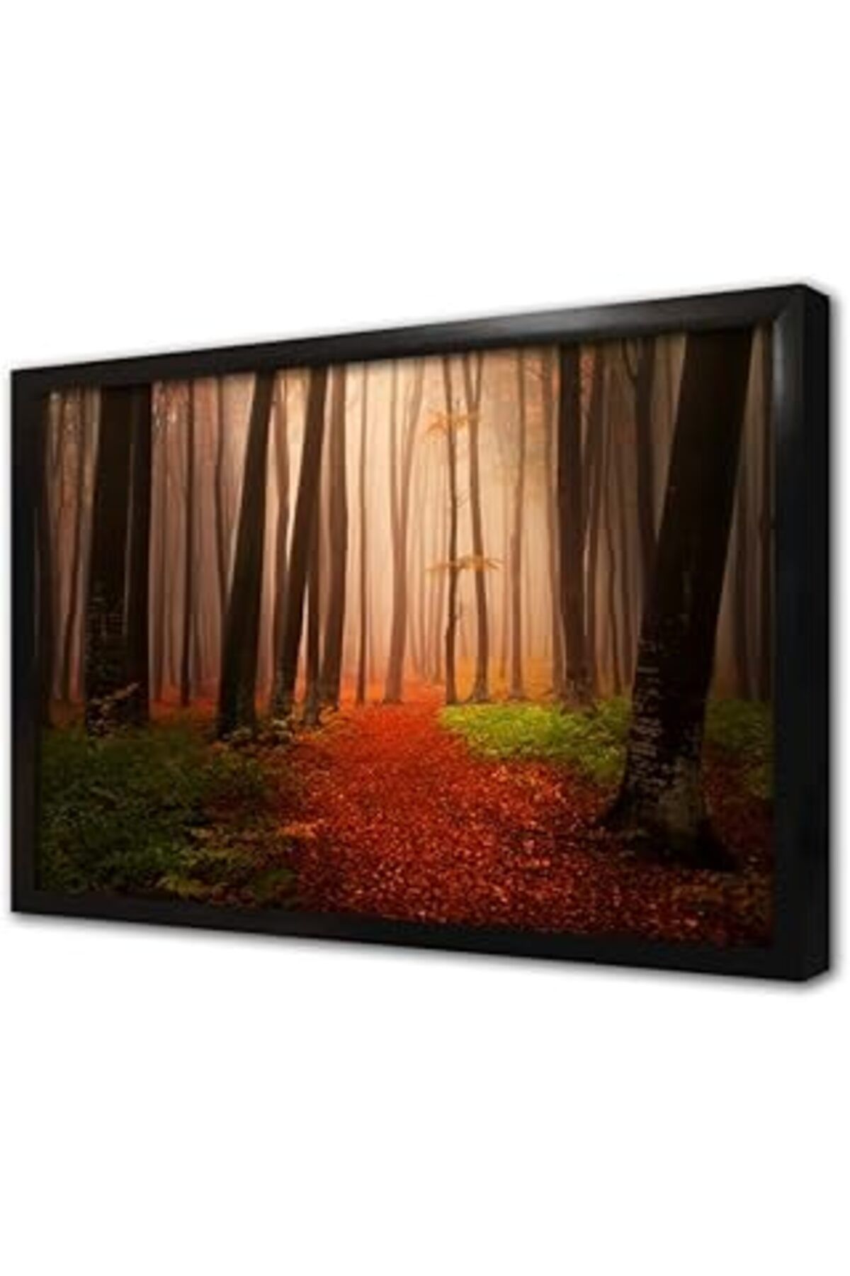 Pazarcan Orman Çerçeveli Cam Tablo 30X40 Cm Ca20879