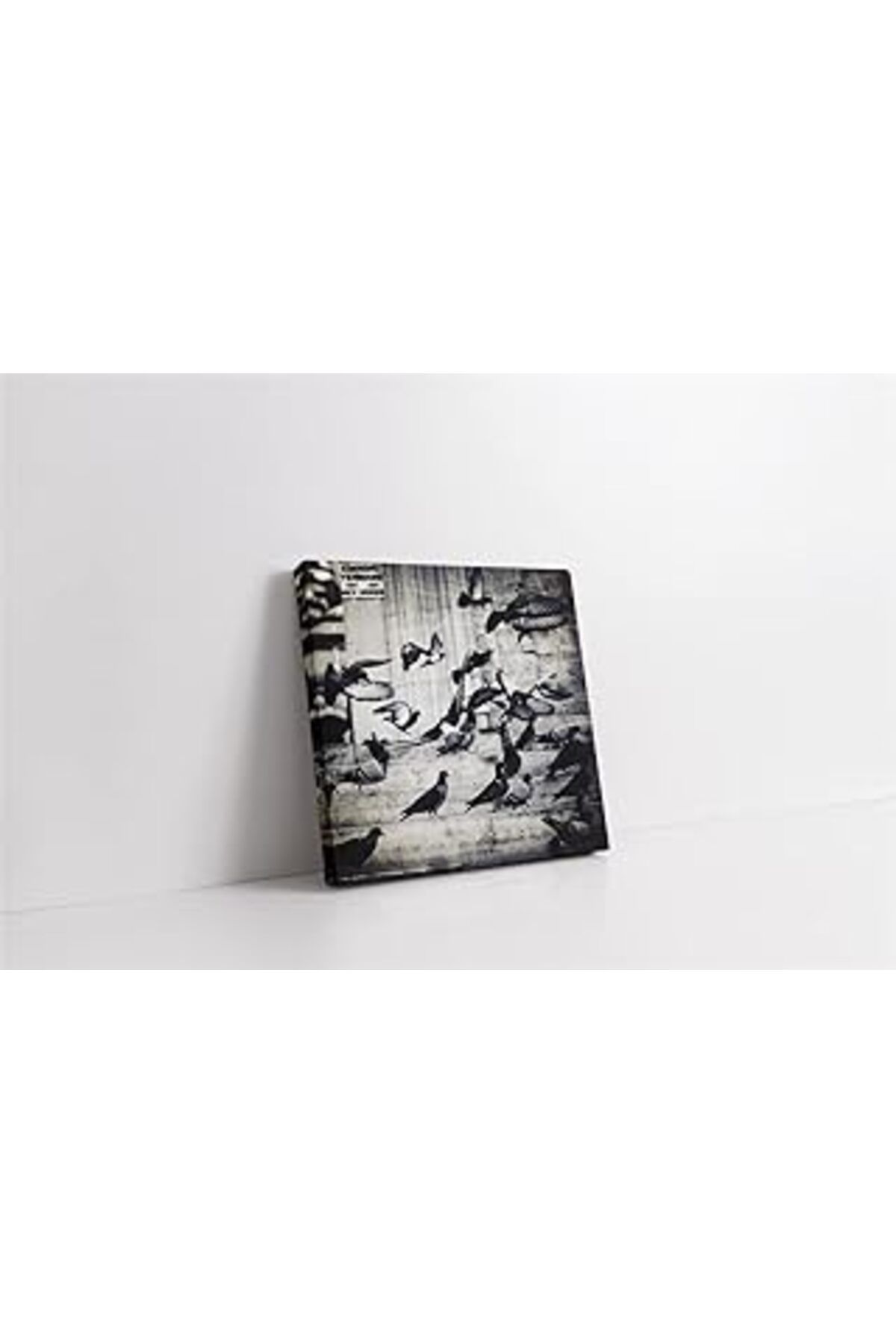 Pazarcan Zebra Kanvas Tablo 20X30 Cm Ka32067