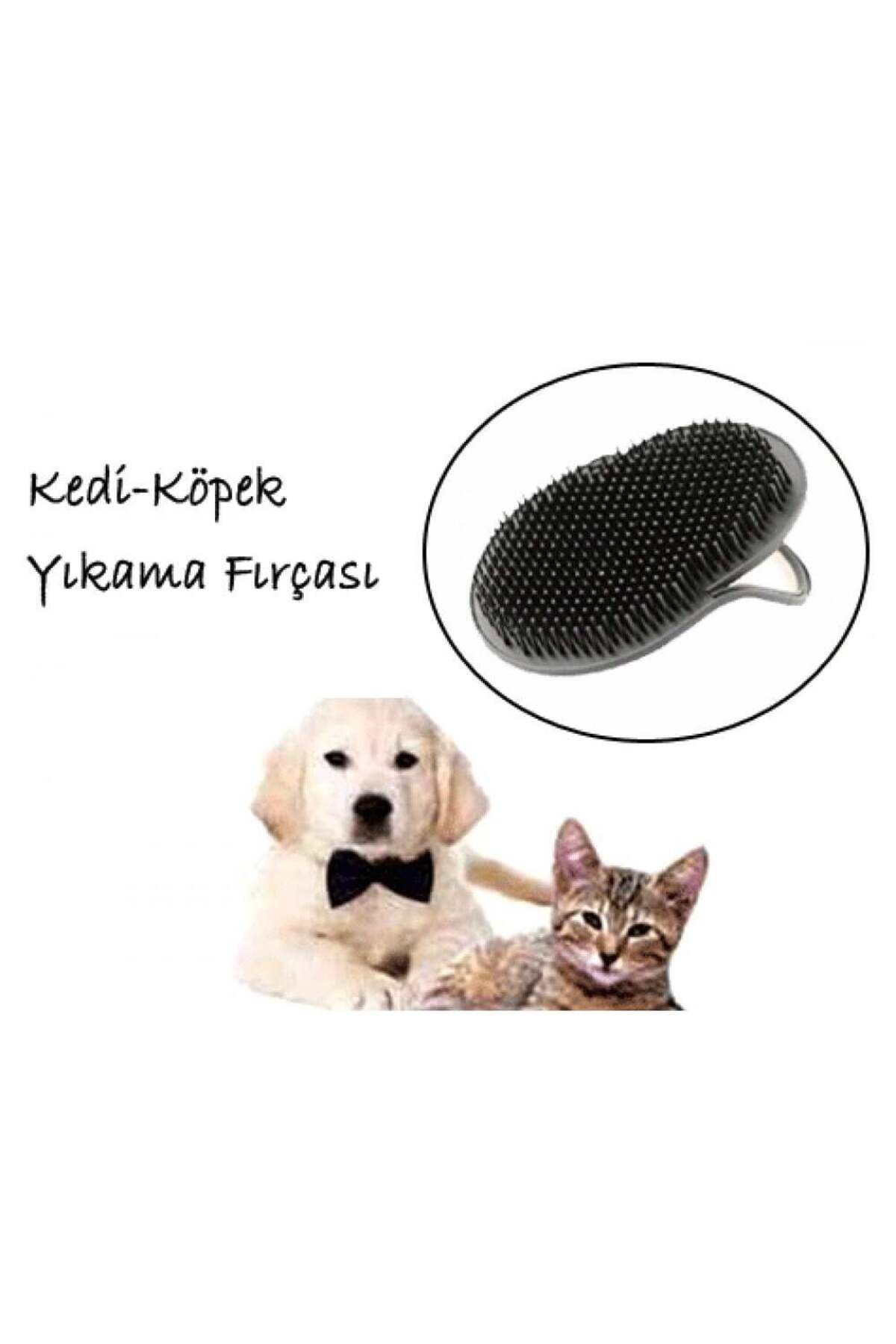 Vemora Köpek Yıkama Fırçası