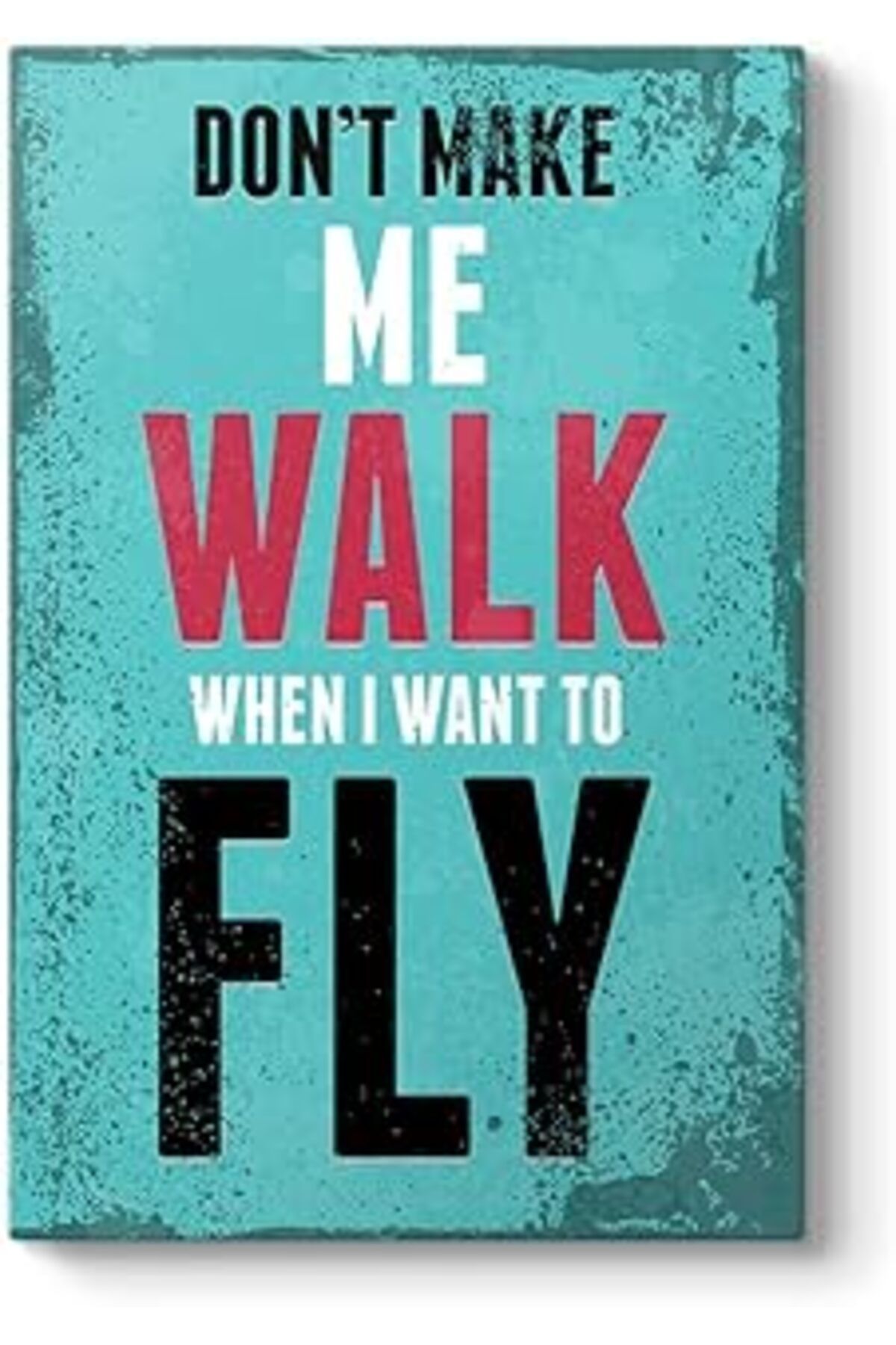 Pazarcan Walk Fly Tablosu 70 X 100