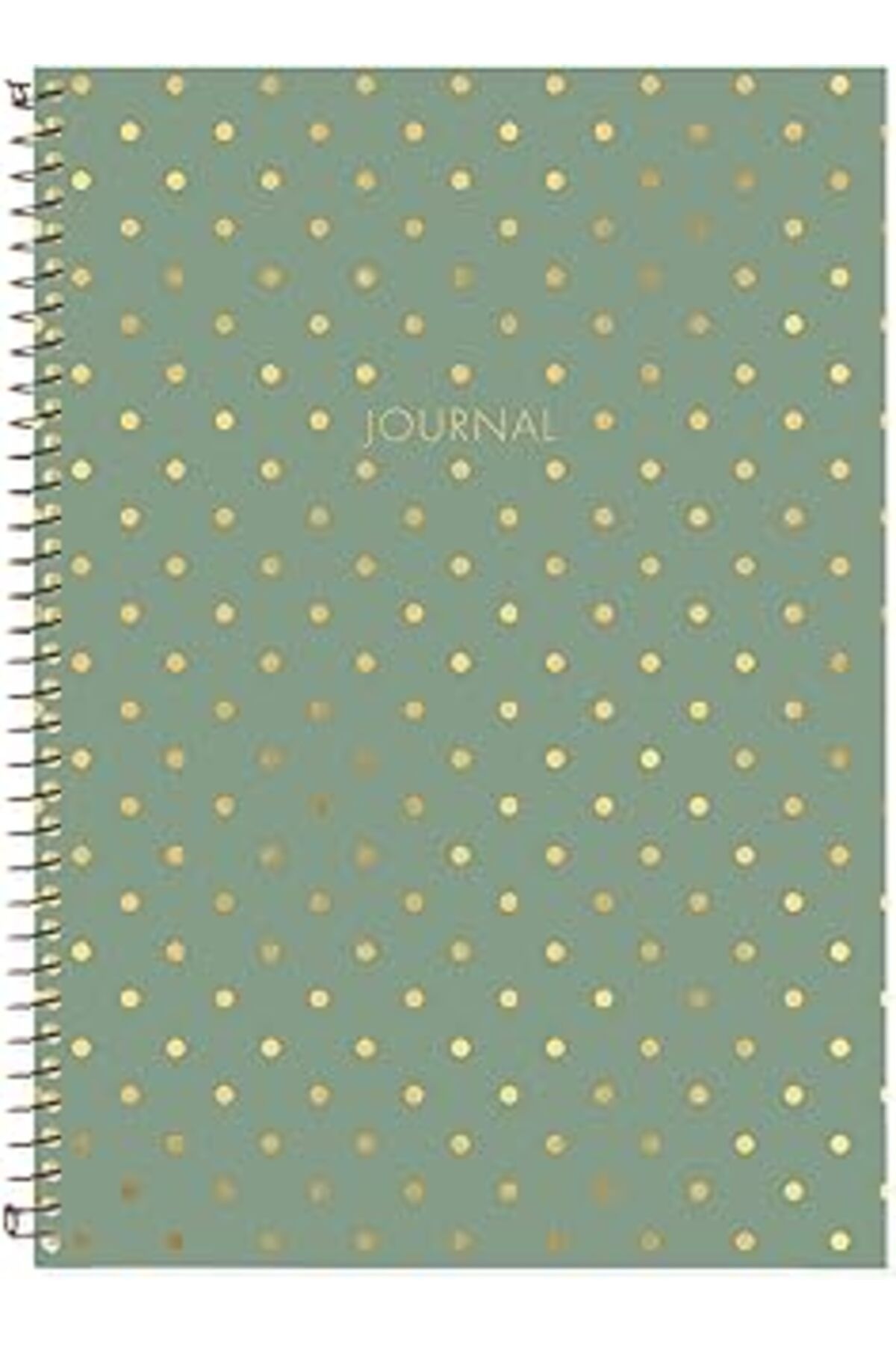 ASİTAN Le Color Puantiyeli Defter Çizgili Yeşil 17X24 Cm