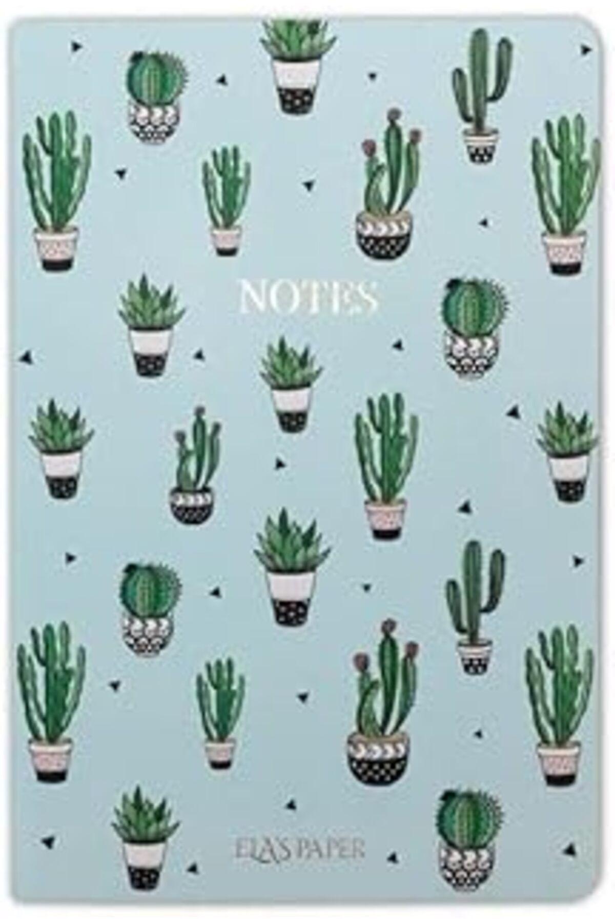 Pazarcan Kaktüs Mavi - Defter