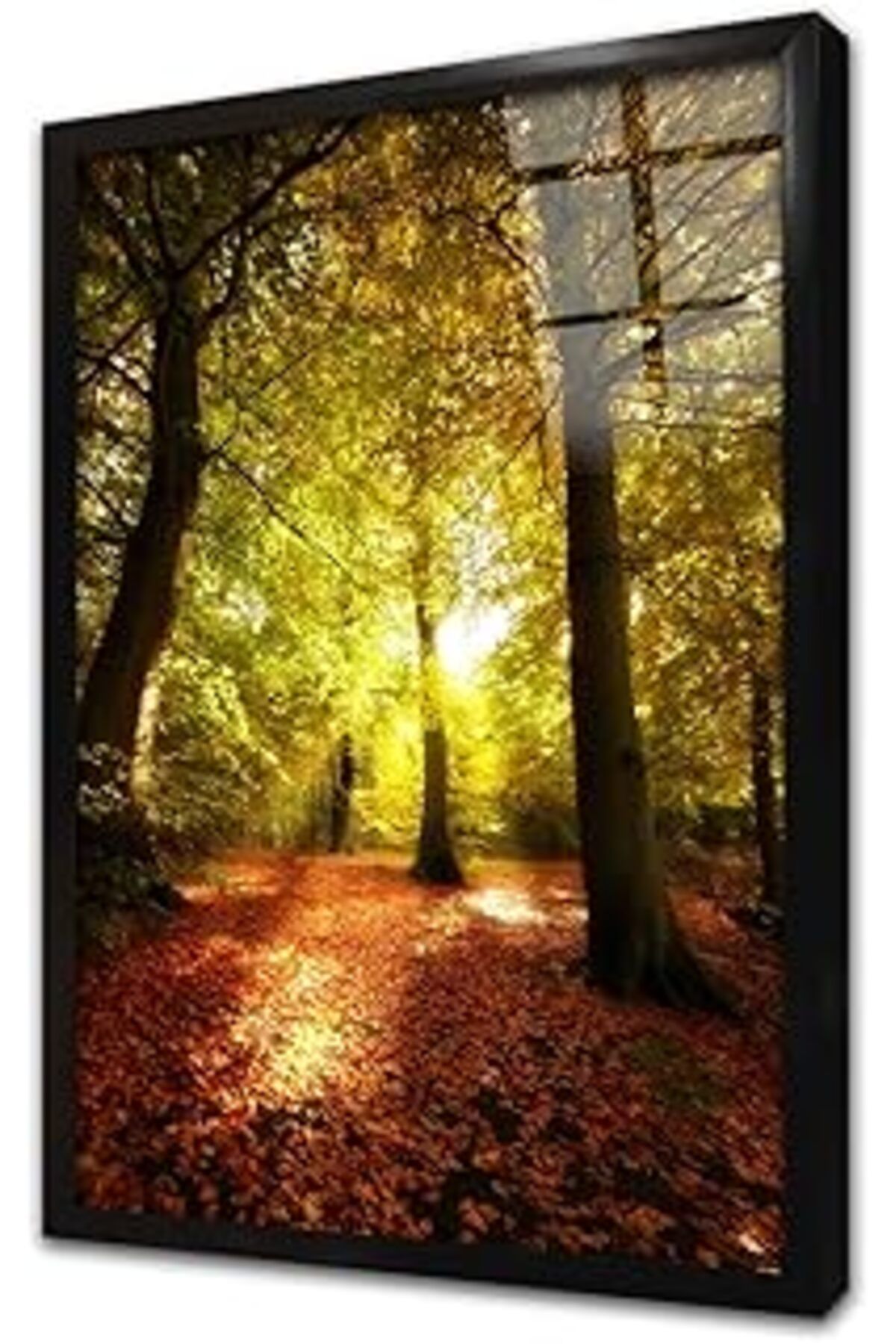 Pazarcan Orman Çerçeveli Cam Tablo 20X30 Cm Ca20649