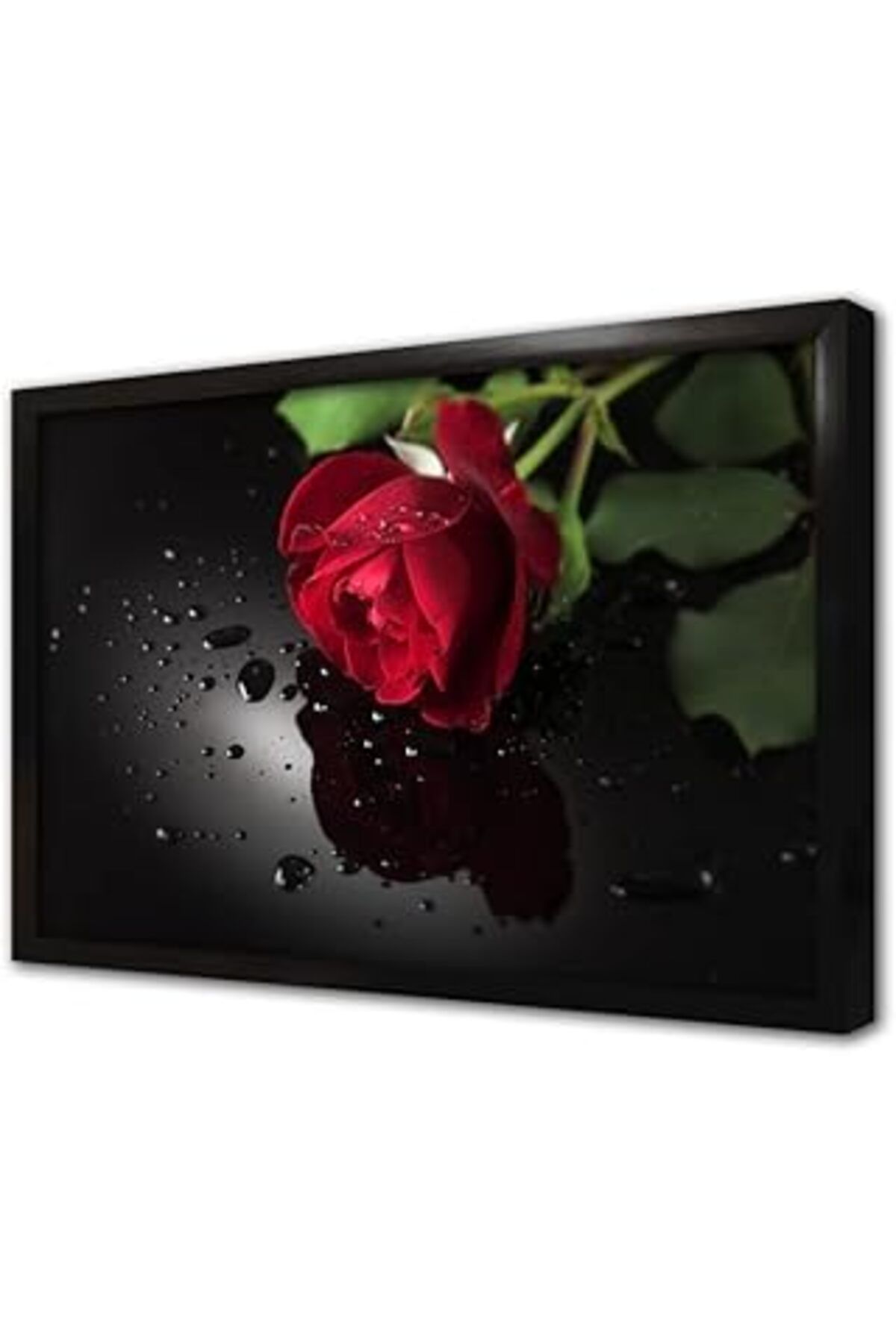 Pazarcan Siyah Fon Üzerinde Kırmızı Gül Çerçeveli Cam Tablo 20X30 Cm Ca03079