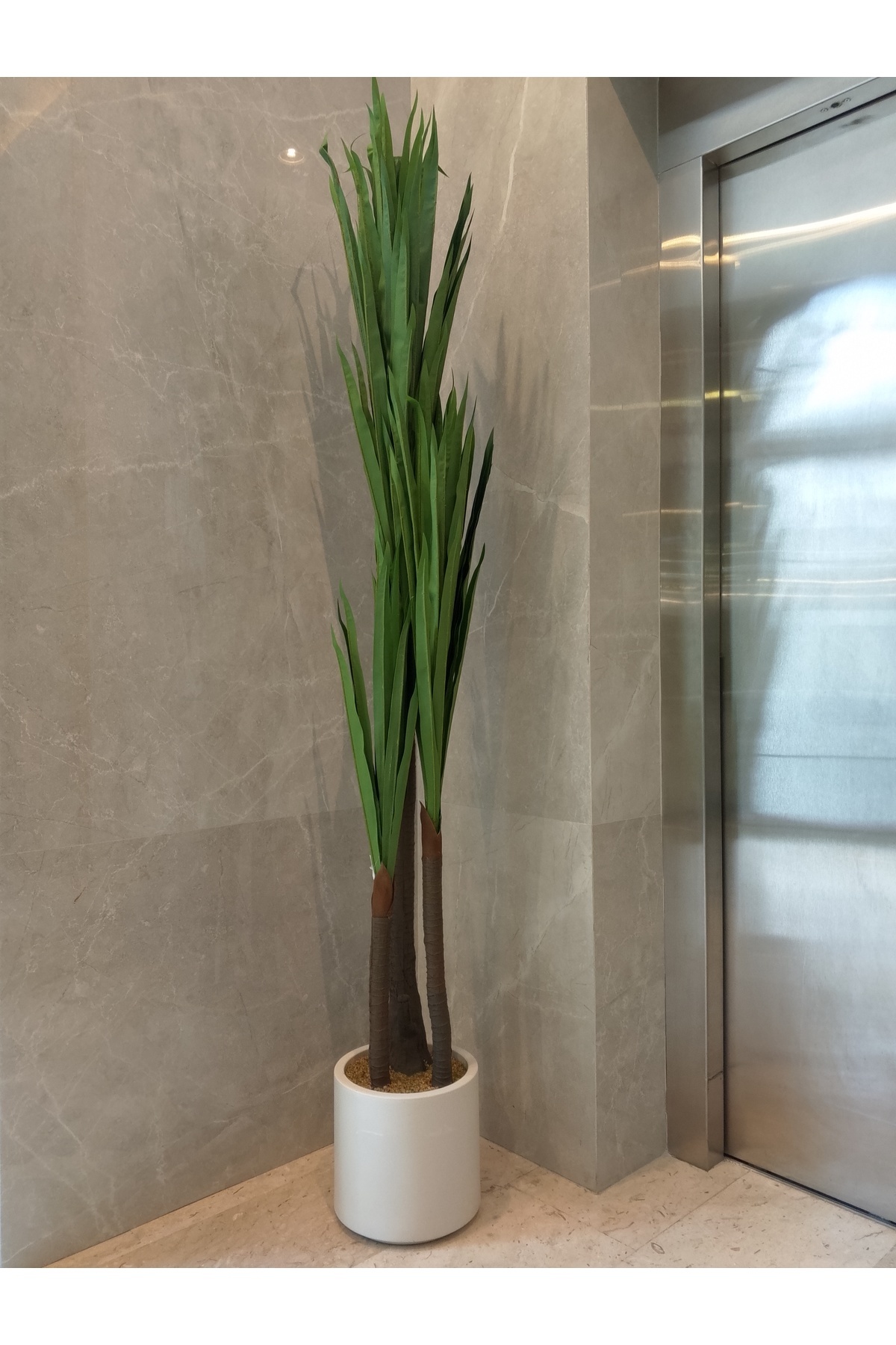 Generic-Artificial Yucca Tree 1.80m 3
