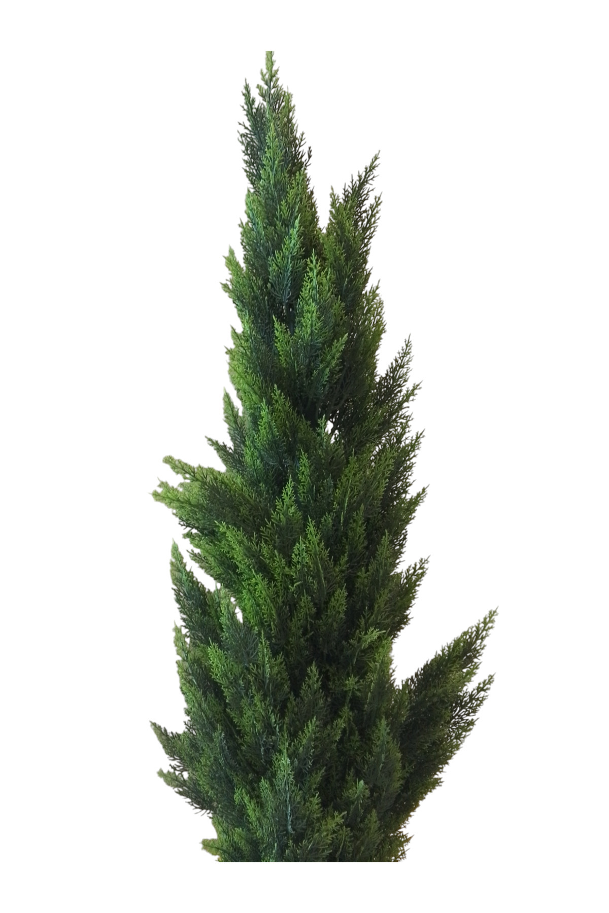 Generic-1.5m artificial cypress tree 2