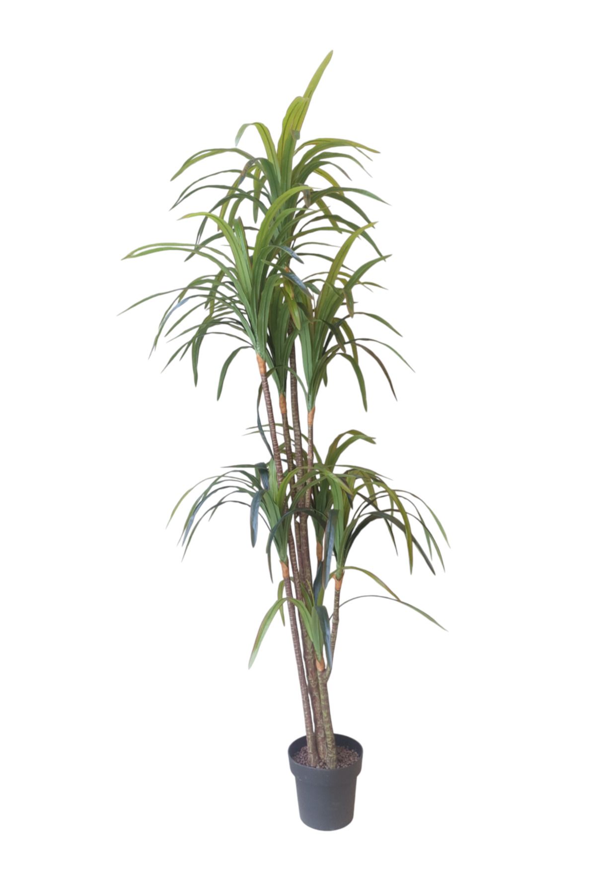 Generic-8-branch artificial yucca tree, 2 meters 1