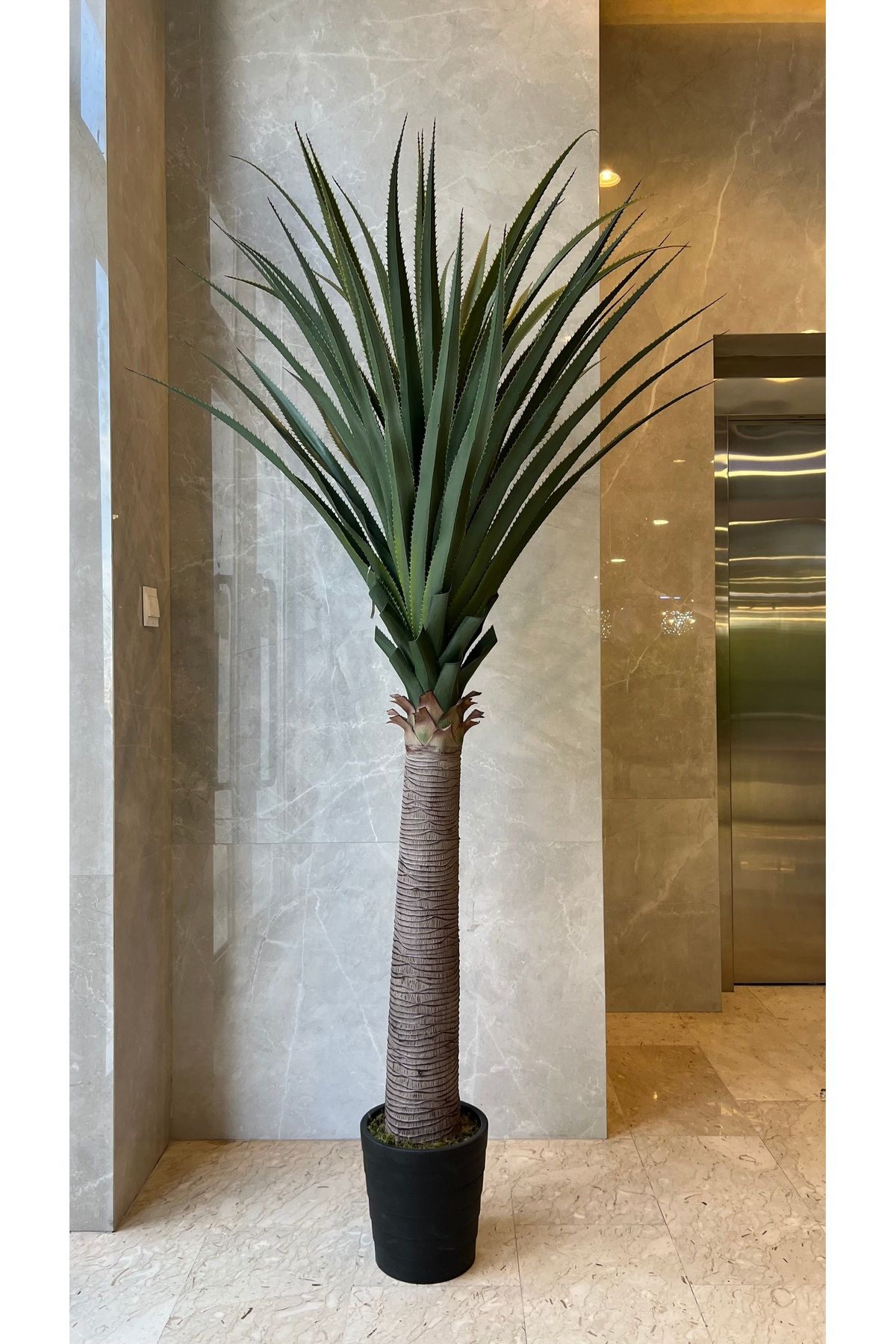 Generic-2.1m high artificial cactus tree 3