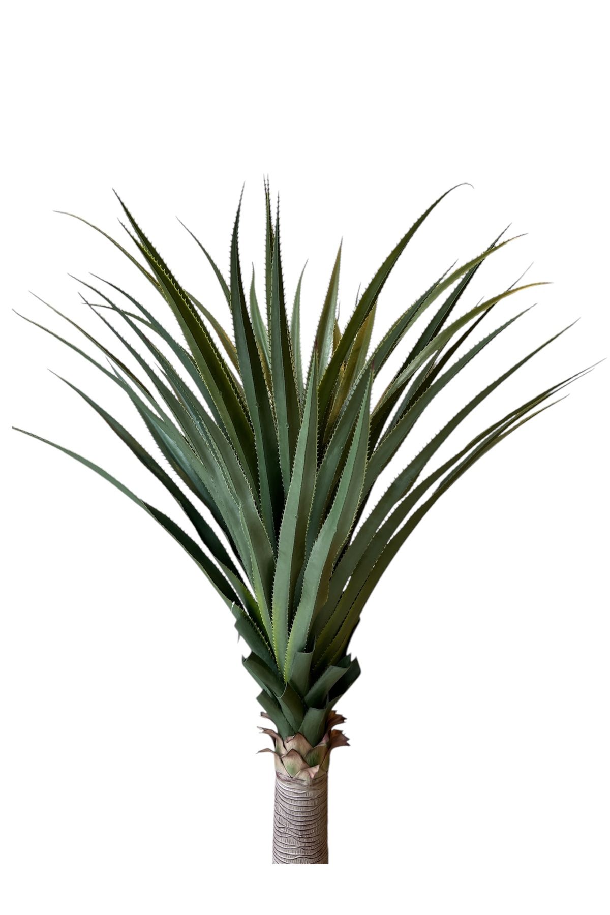 Generic-2.1m high artificial cactus tree 2