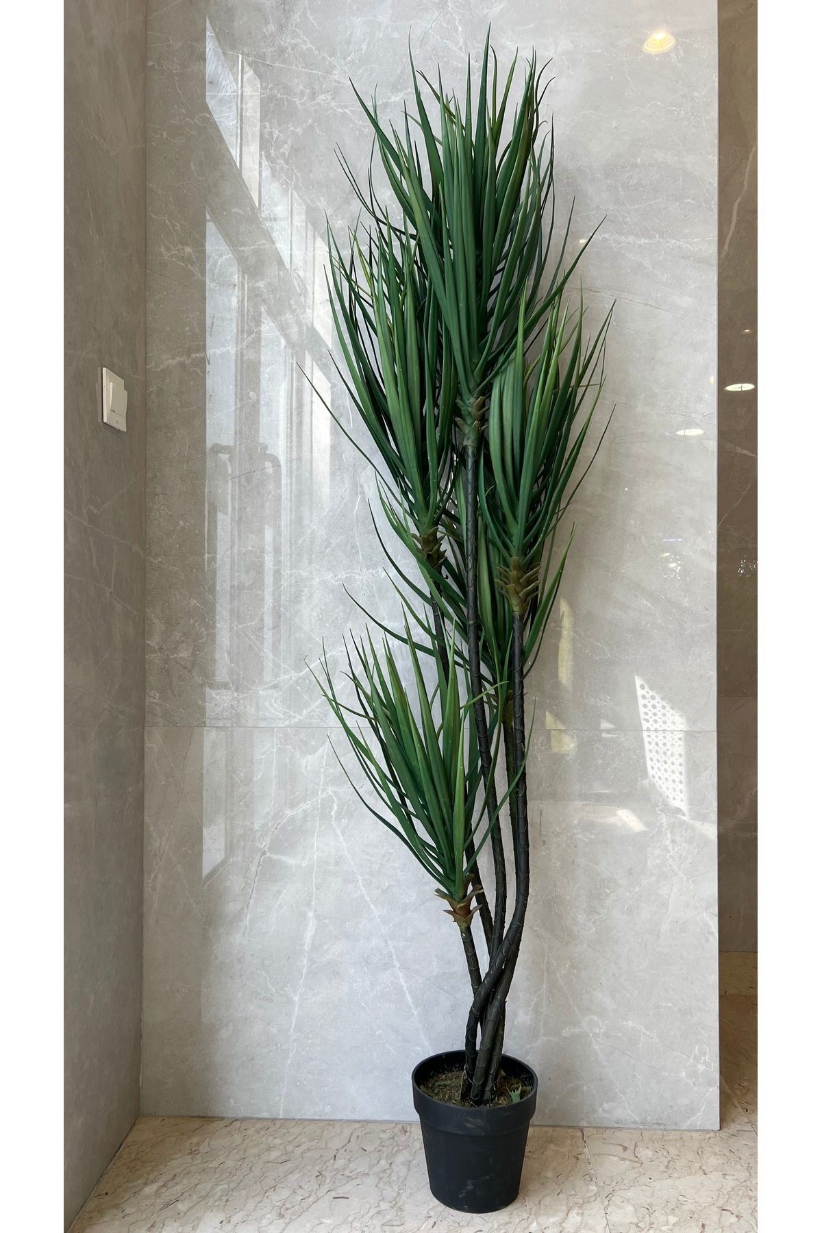 Generic-Artificial Yucca Tree 5F 1.7m 3