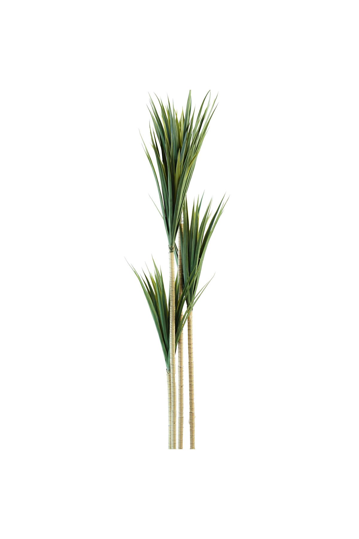 Generic-1.7m Artificial Yucca Tree 2
