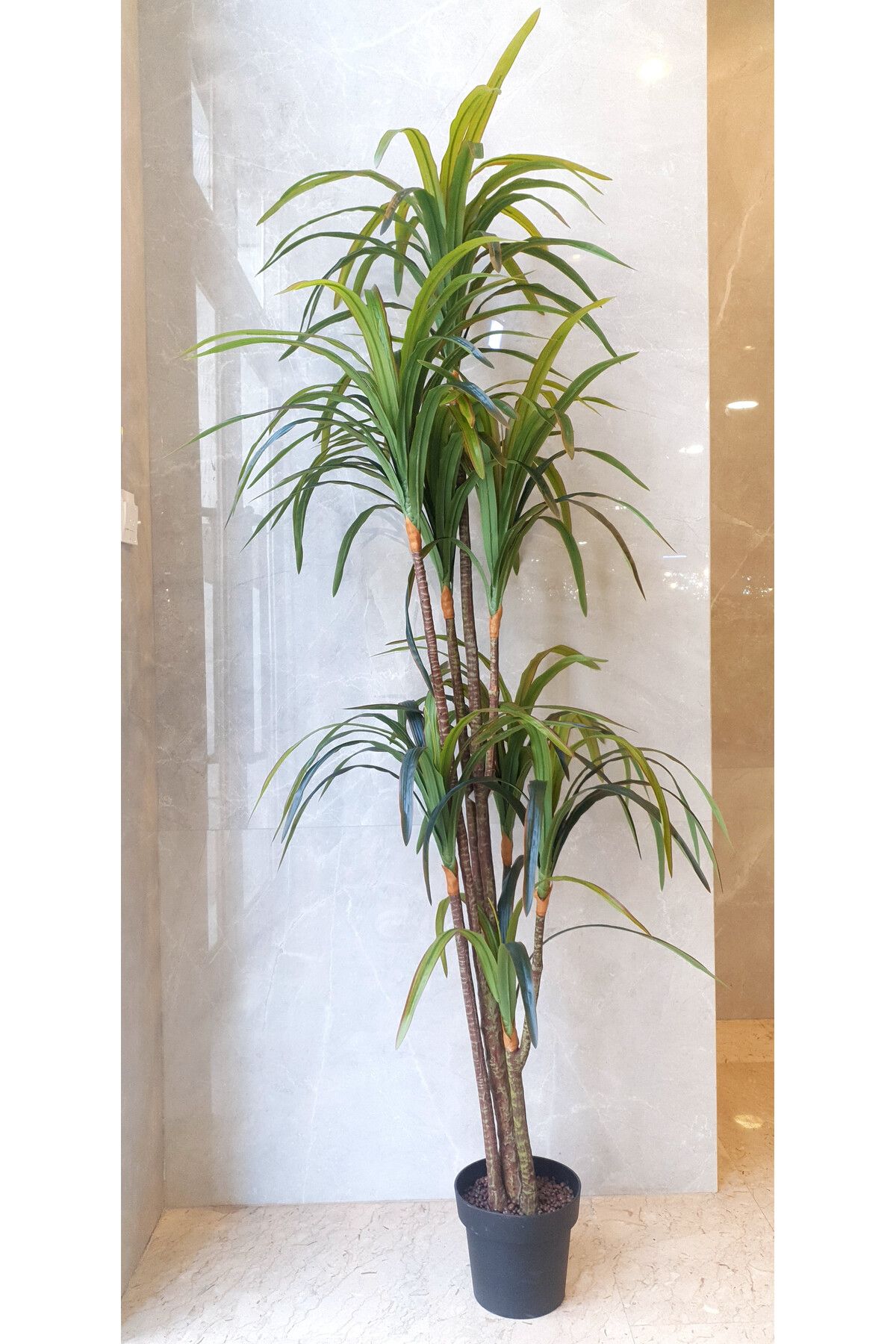 Generic-8-branch artificial yucca tree, 2 meters 3