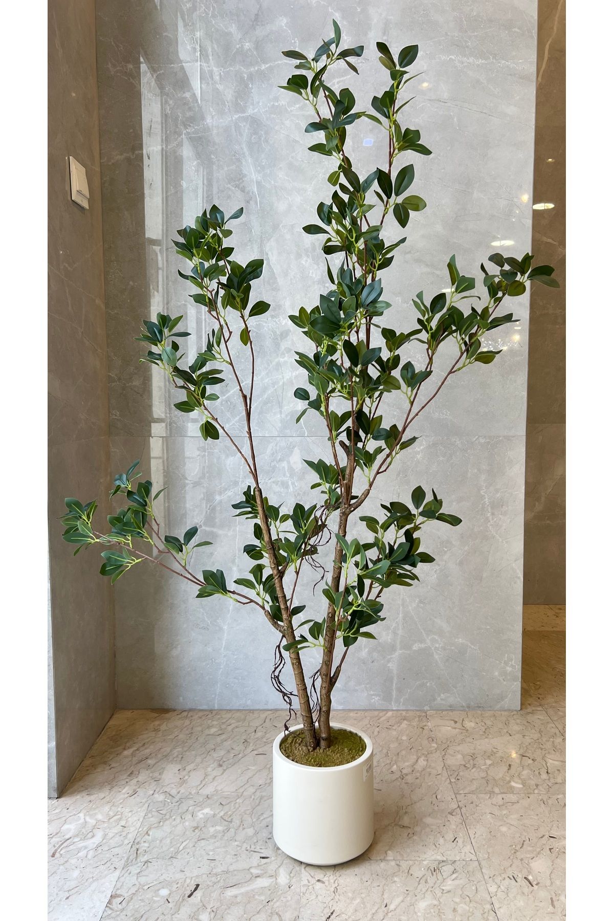 Generic-1.3m Artificial Small Ficus Tree 3