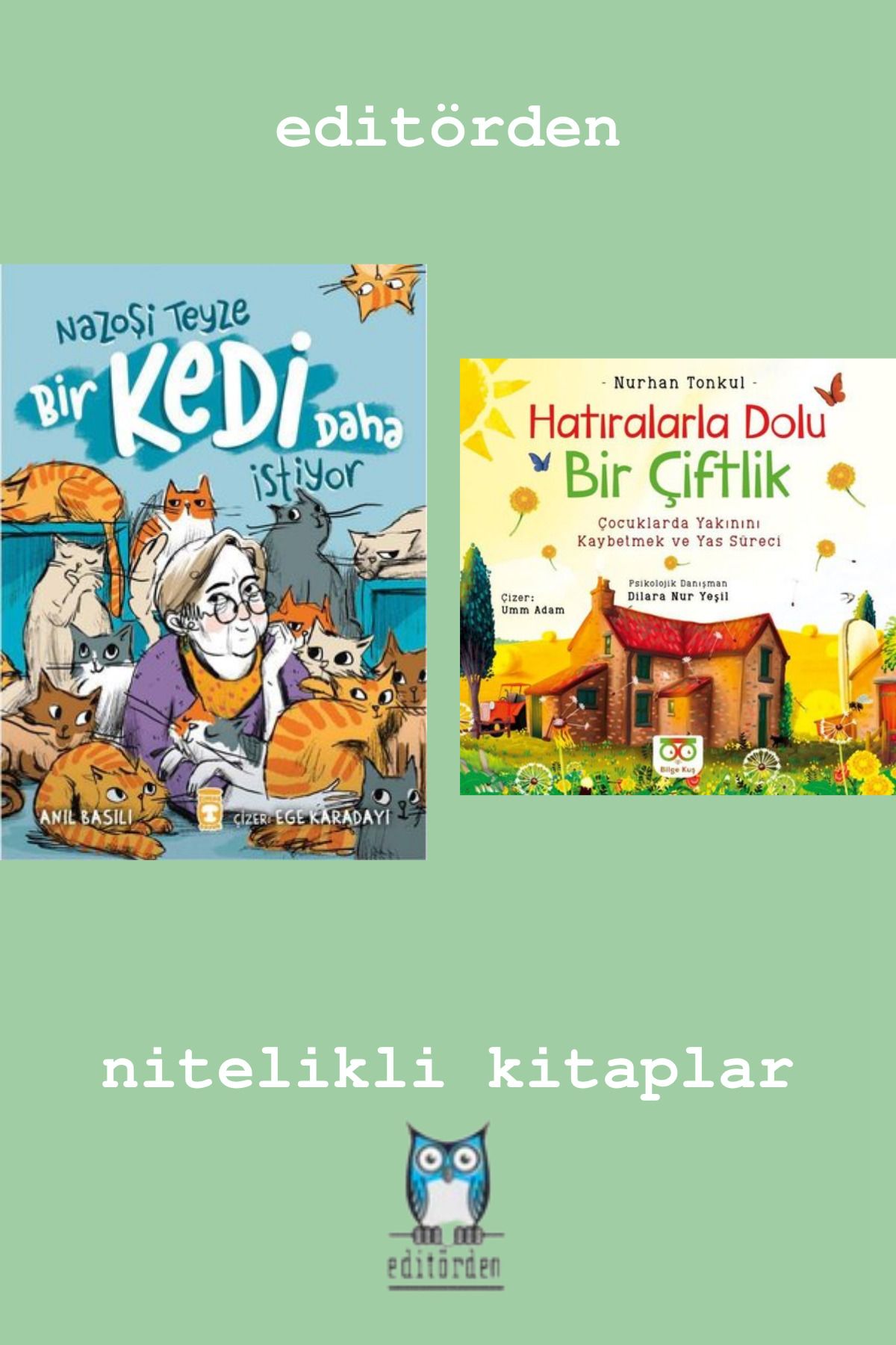 Bilge Kuş Yayınları Nazoşi Teyze Bir Kedi Daha İstiyor - Hatıralarla Dolu Bir Çiftlik