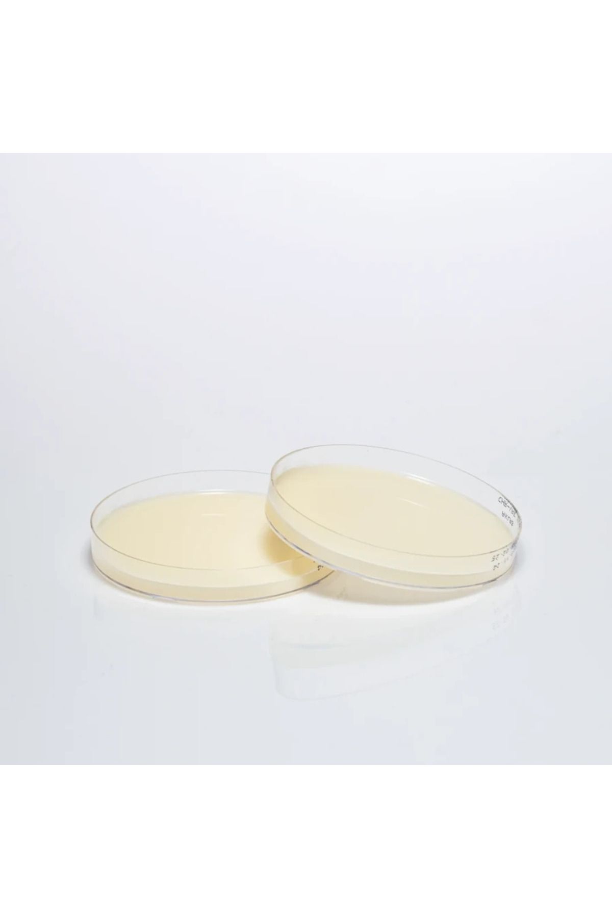 medexia HAZIR CHROMOGENIC VRE BESİYERİ