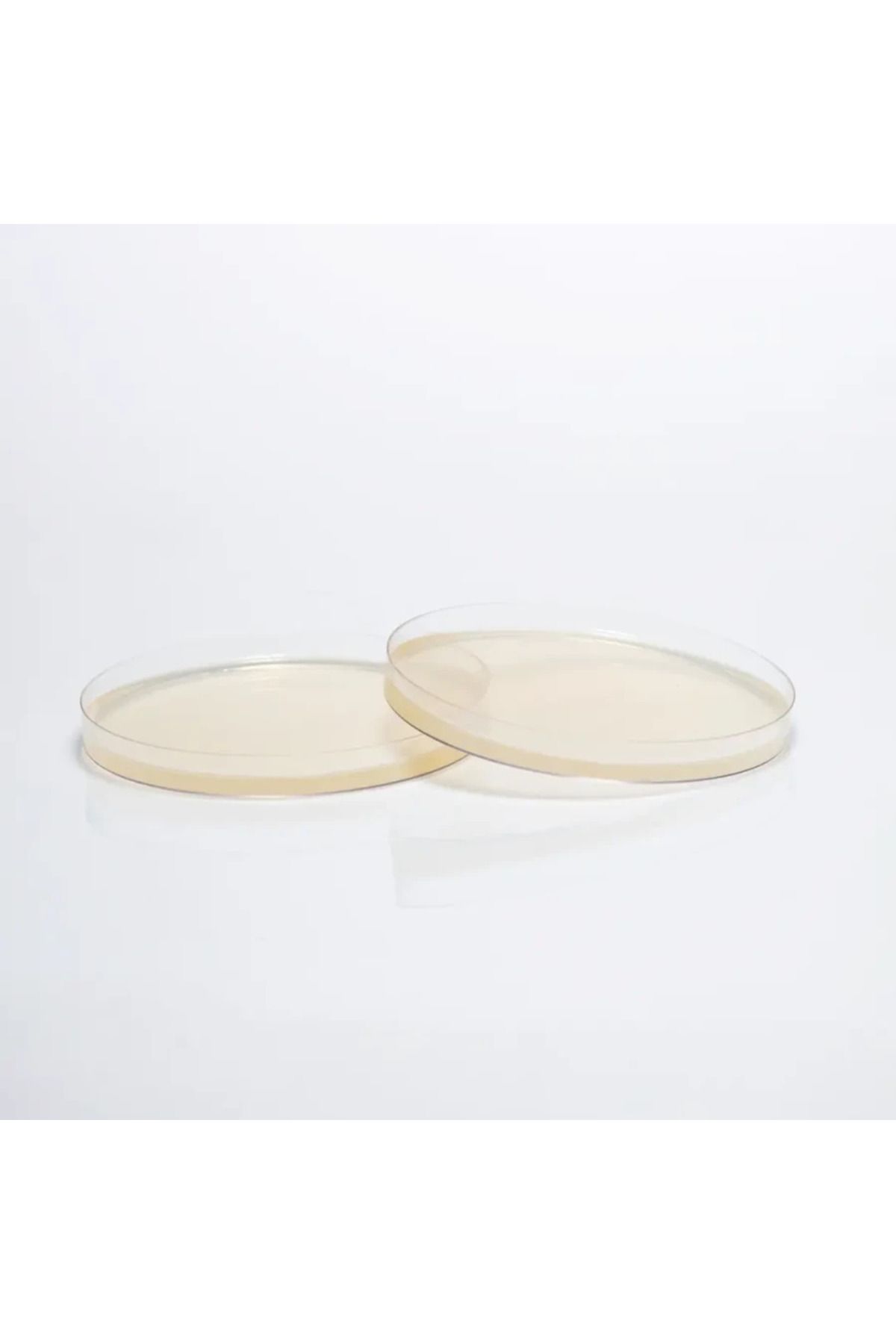 medexia HAZIR MUELLER HİNTON BESİYERİ ( 120 mm'lik Petri )