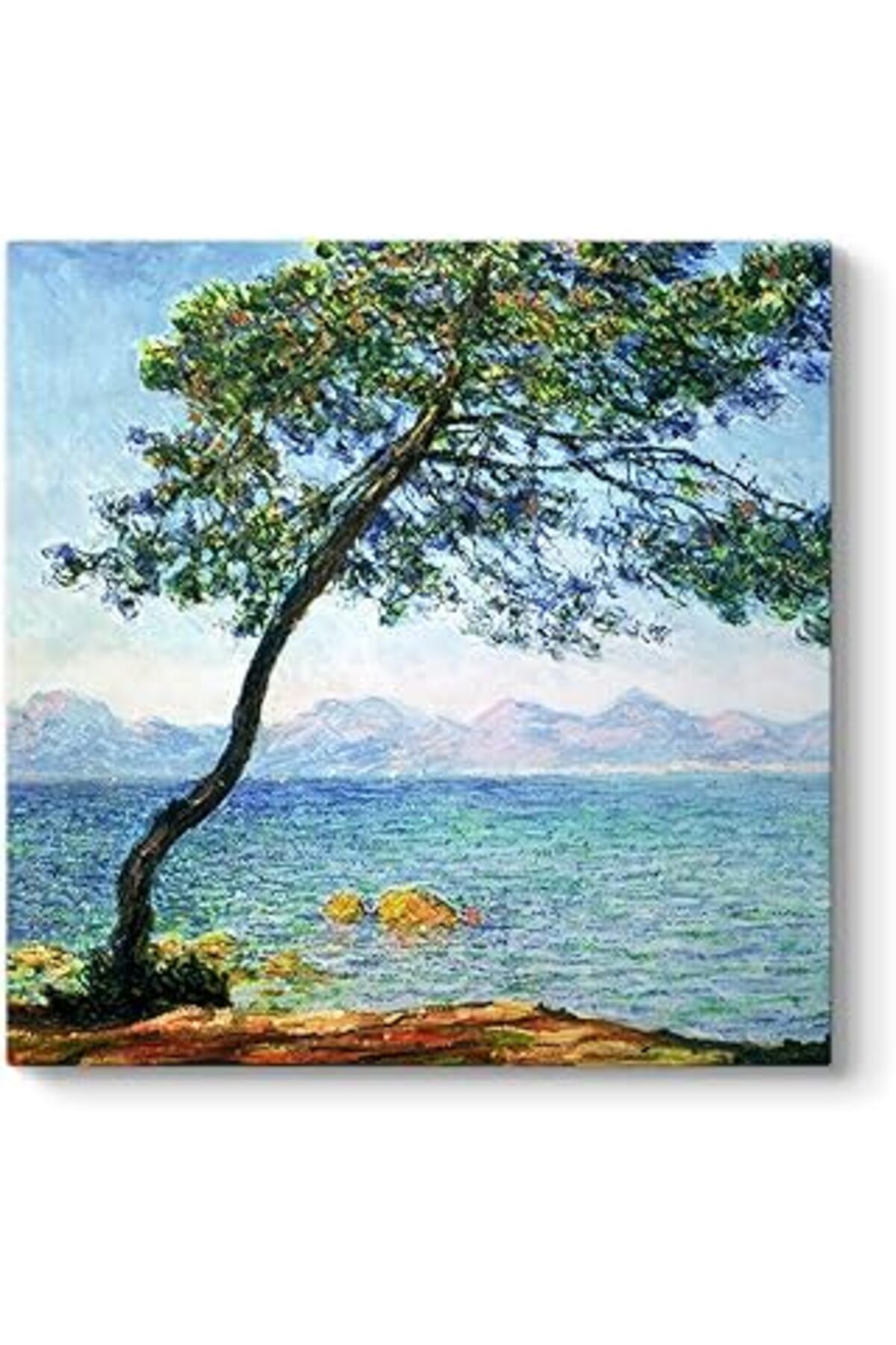 Pazarcan Edouard Manet - Antibes Tablosu 50 X 50