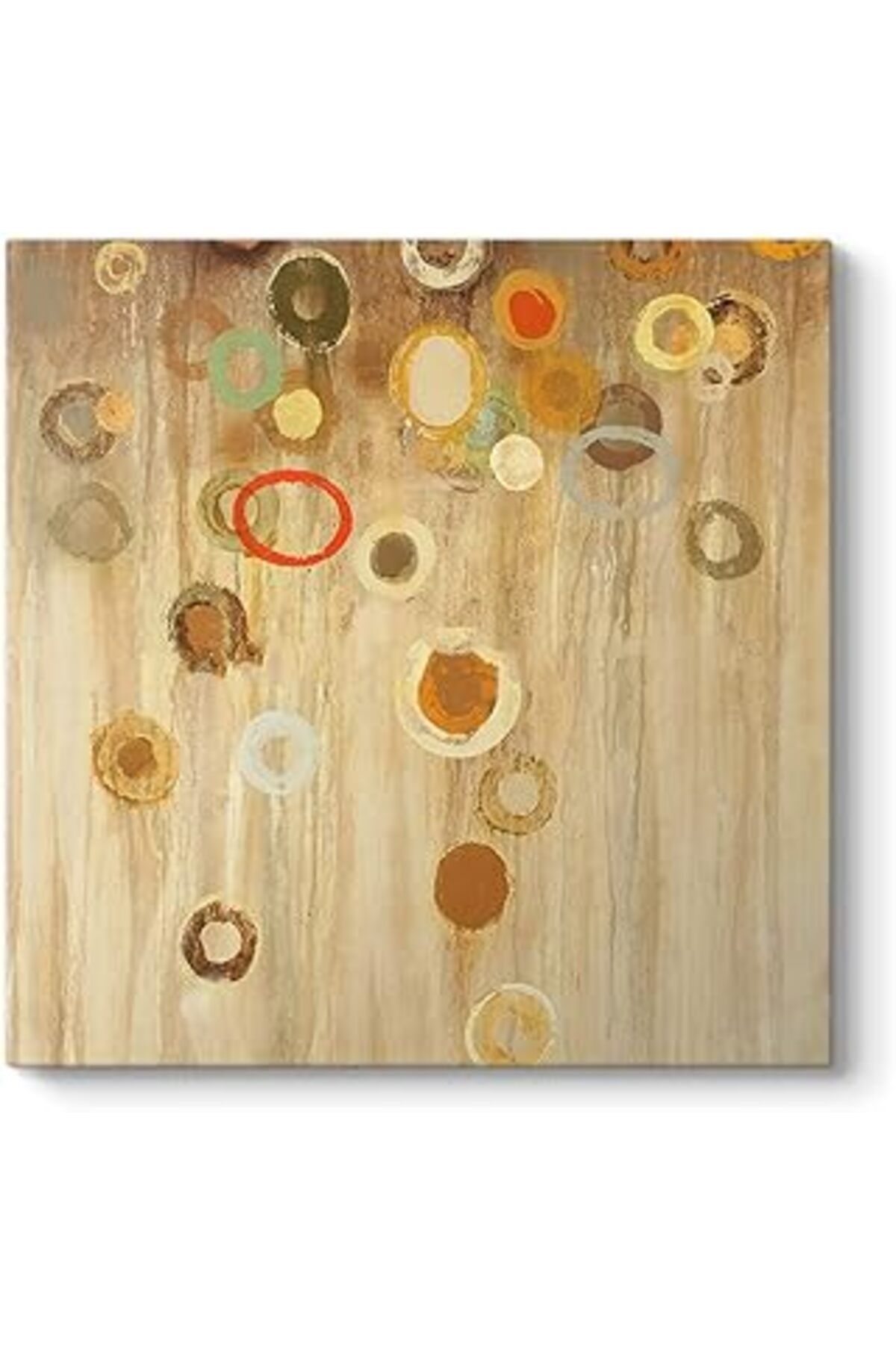 Pazarcan Tabloshop Çağdaş Modern Tablo 50 X 50