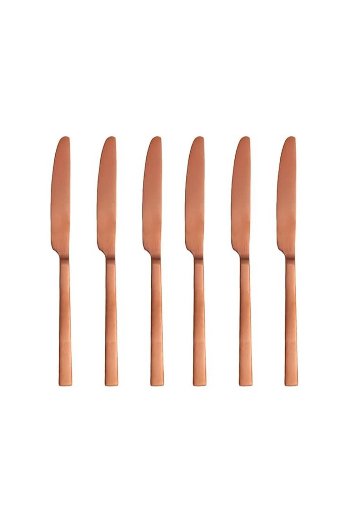 ASTERA Porland Mat Bakır Yemek Bıçağı 24cm 6 adet