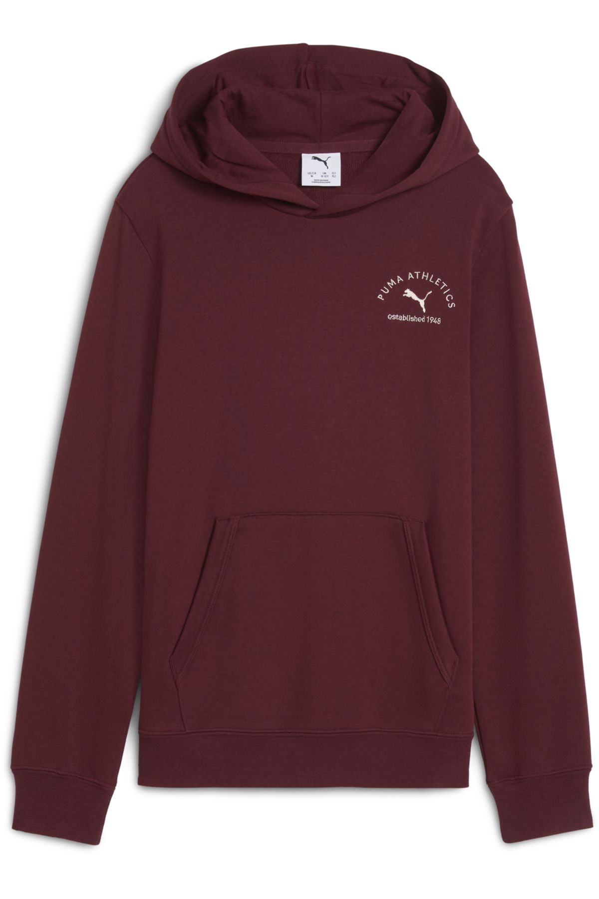 Puma-PUMA Class Graphic Hoodie Youth 3
