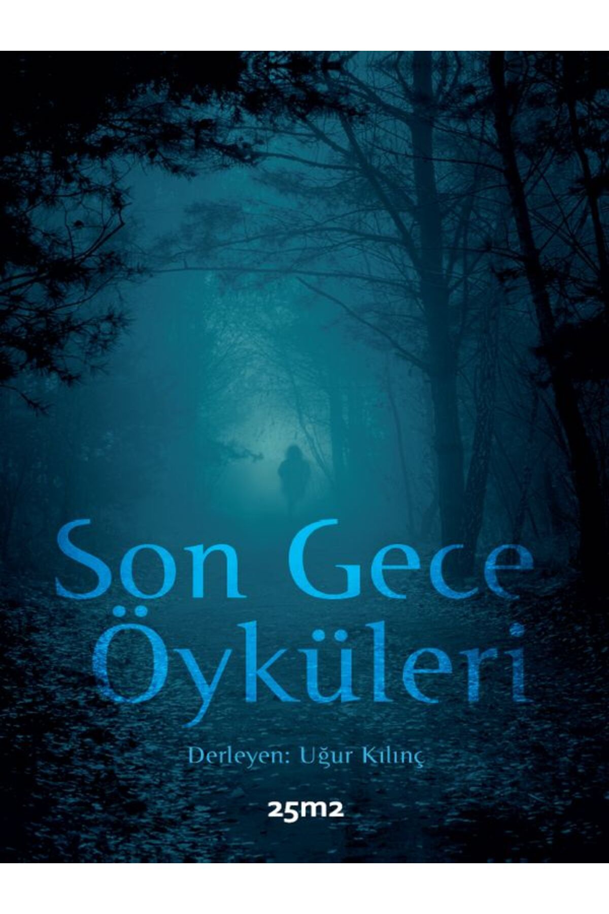 25m2 Kitap Son Gece Öyküleri