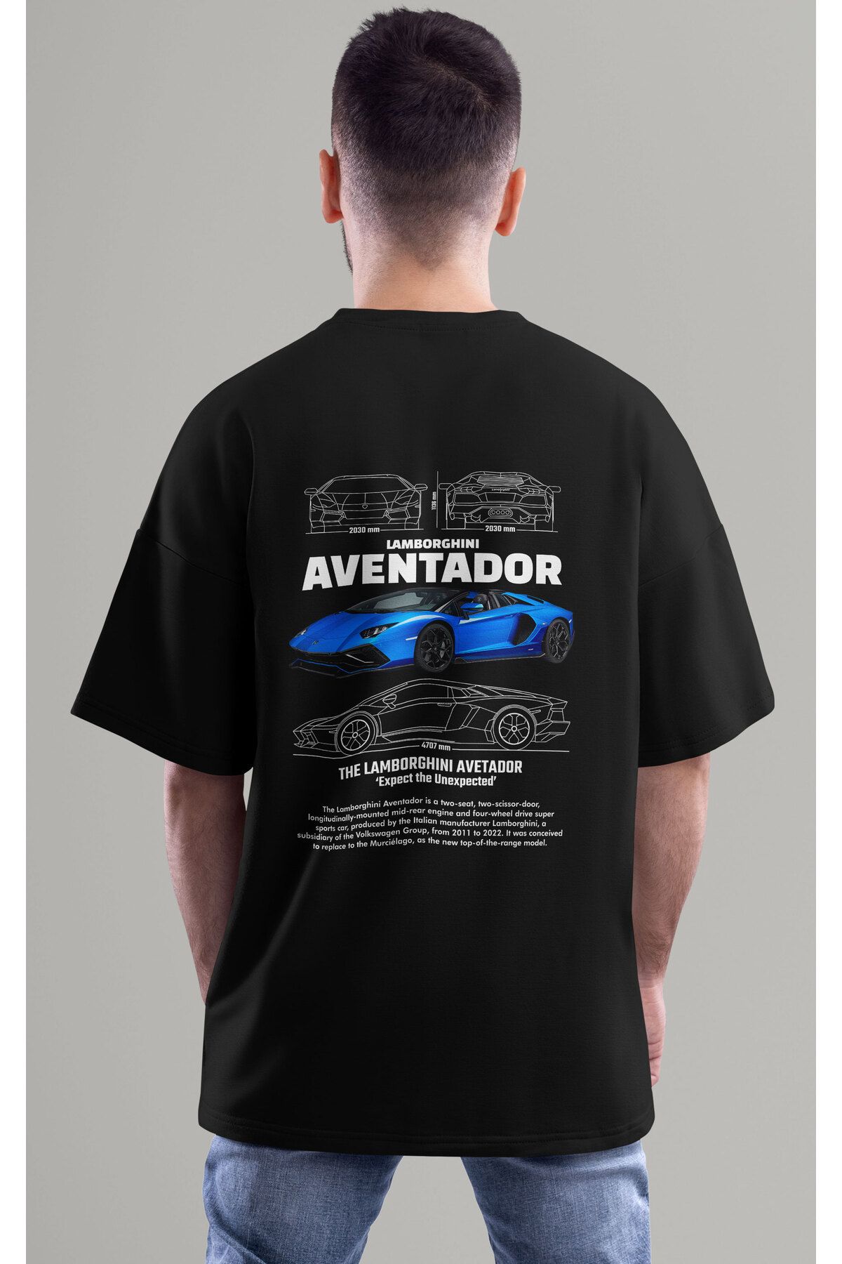 ELFAMİ Unisex Erkek/Kadın AVENTADOR Renkli Özel Baskılı Oversize Pamuklu Bisiklet Yaka T-Shirt Tişört