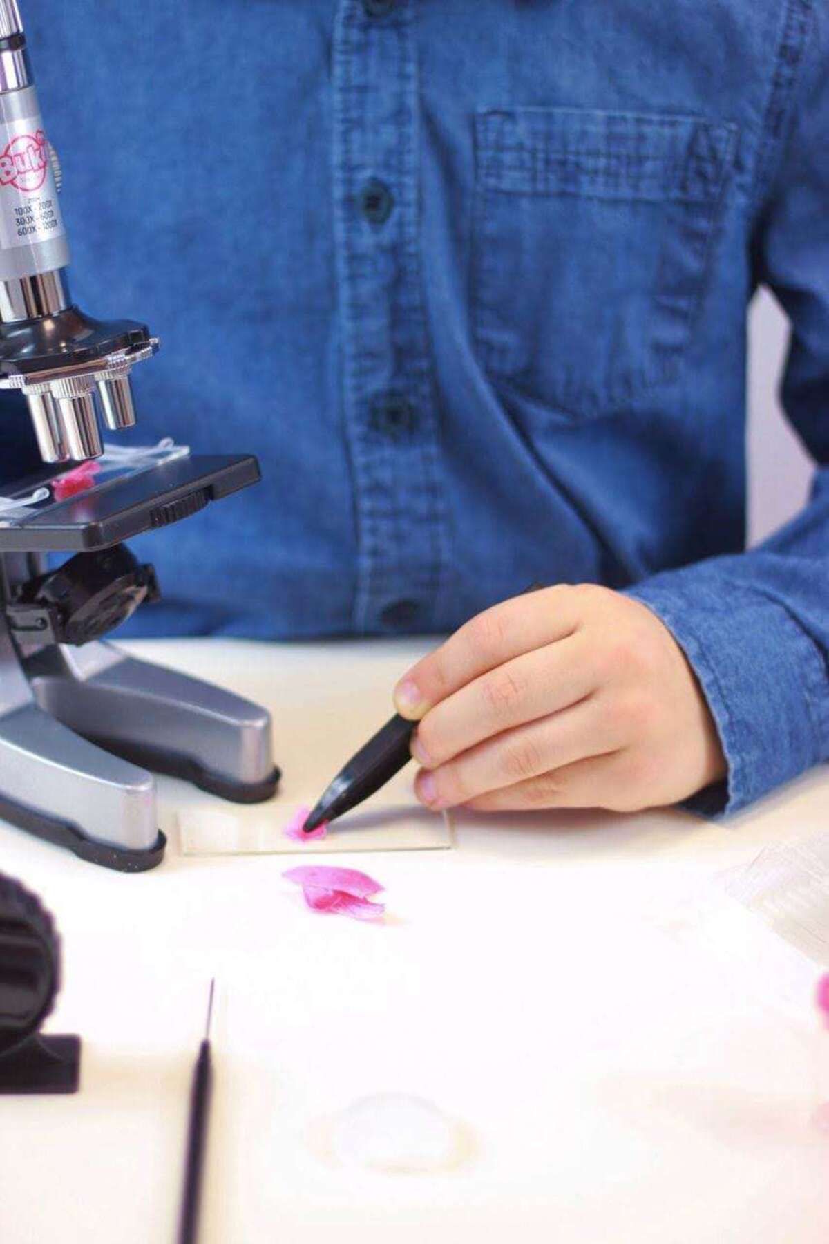 Buki France-Microscop educativ, model cu 30 experimente, lentile și accesorii 4