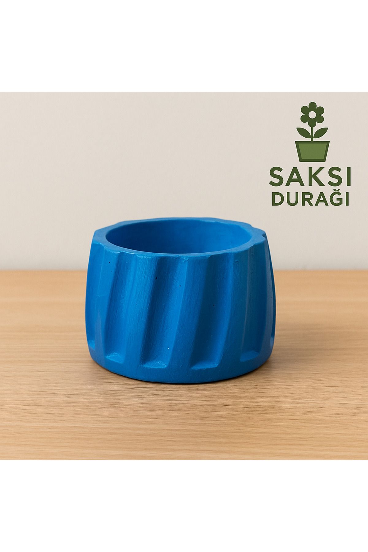 Home Dekoratif Beton Kaktüs&Sukulent Saksısı
