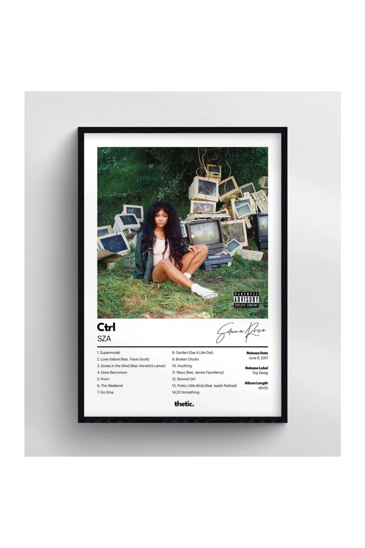 Thetic Sza - CTRL Albüm Koleksiyonu