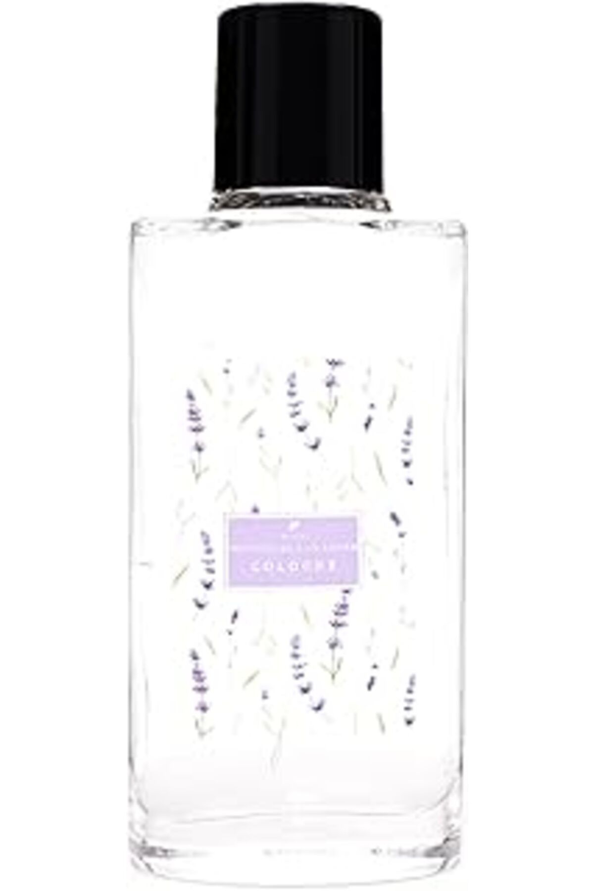 ASİTAN 100 Ml Cam Şişe Botanical Lavander Kolonya