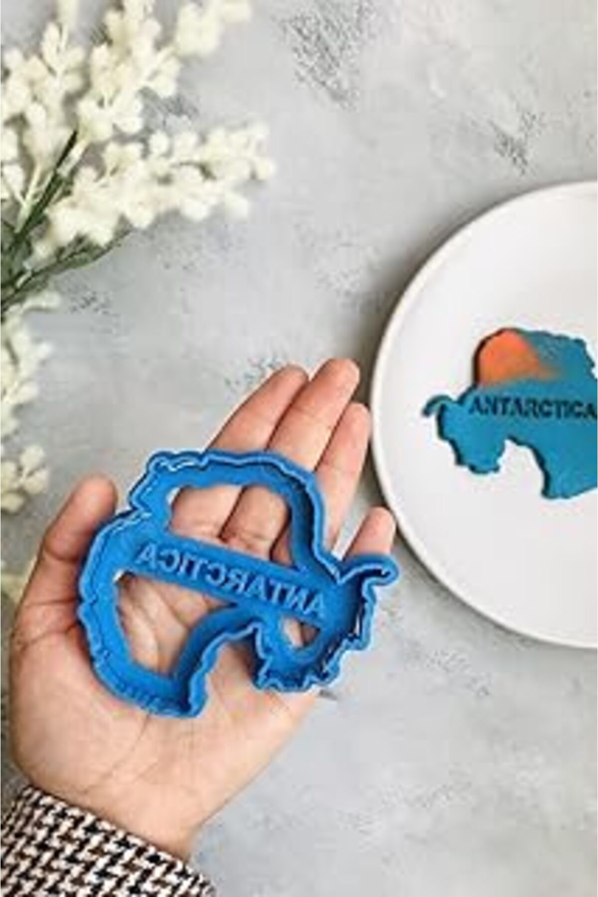 ASİTAN Cestopieno Antartika Kıtası Hamur Şekillendirici/Kurabiye Kalıbı/Seramik Kalıbı