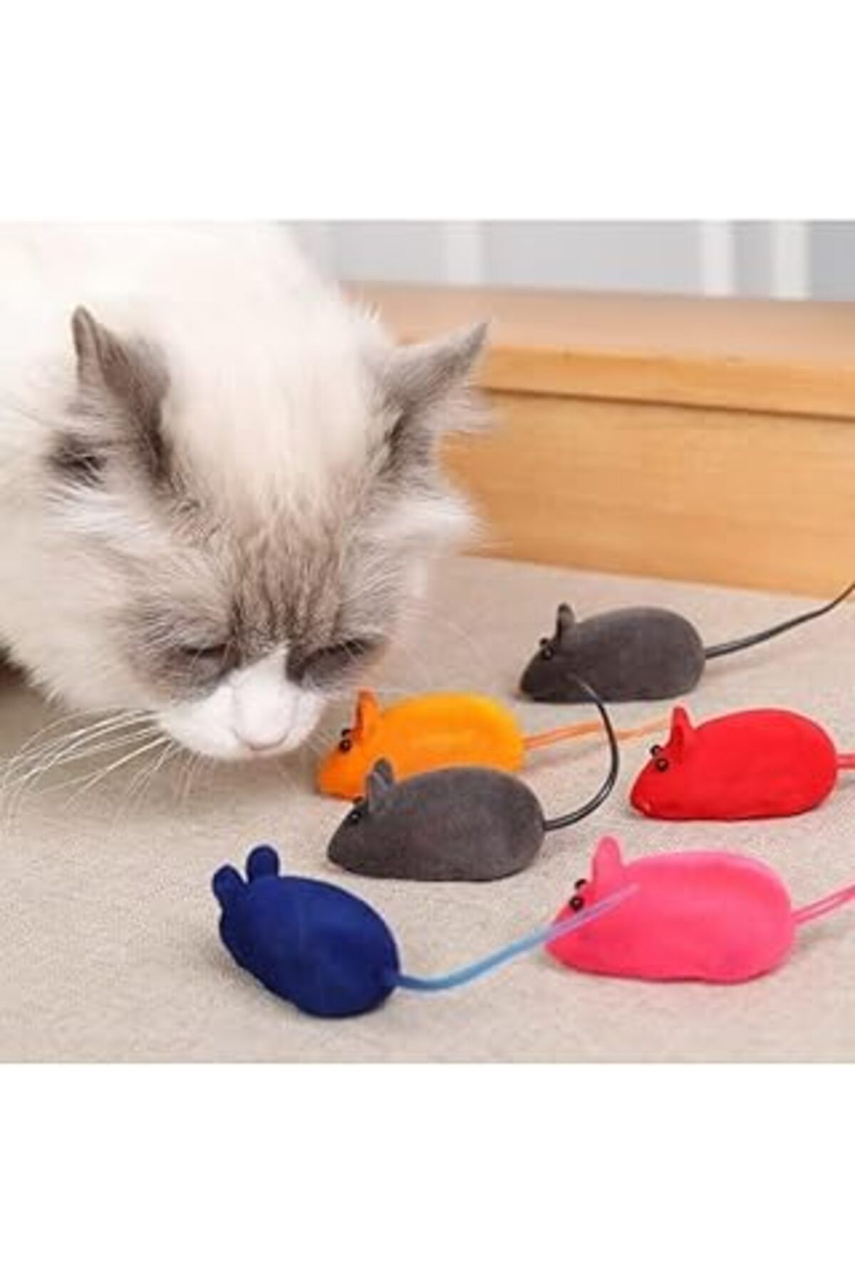 ASİTAN Tineke 4 Adet Kedi Eğitim Oyun Faresi Sesli