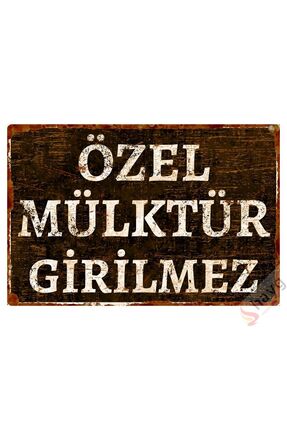 Hayg Equipment Özel Mülktür Girilmez Metal Uyarı Levhası - Dekoratif Özel Tas...