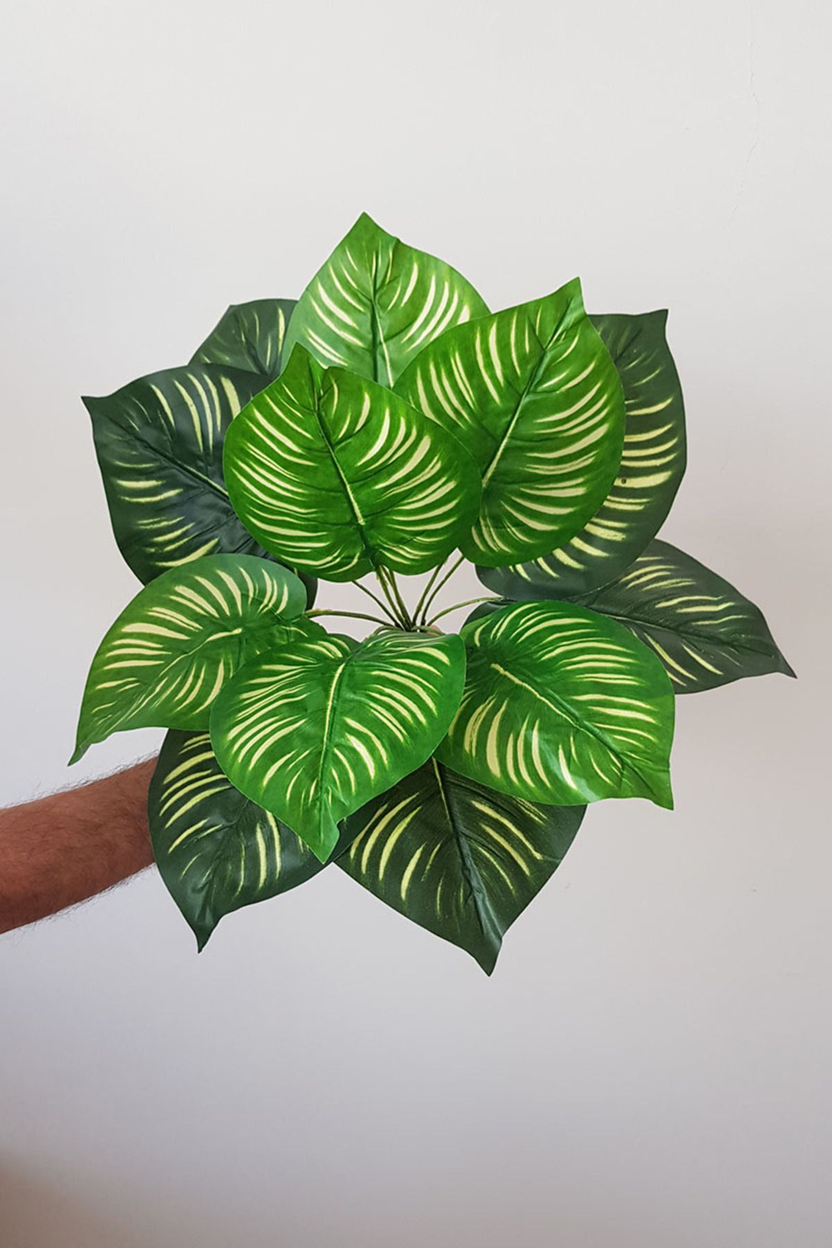 adresiburasi Yapay Bitki Caladium-kaladyum Demet Gerçek Dokulu 12 Dal 40 Cm. Yeşil