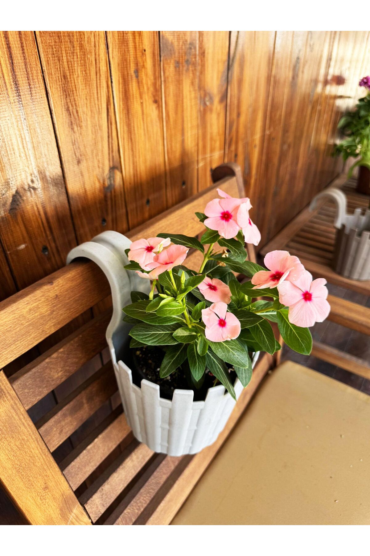 SİHİRLİ AYAKLAR Tekli Dekoratif Askılı Truva Orta Boy Renkli Çiçek Saksısı 1,5LT (155x235x205mm)