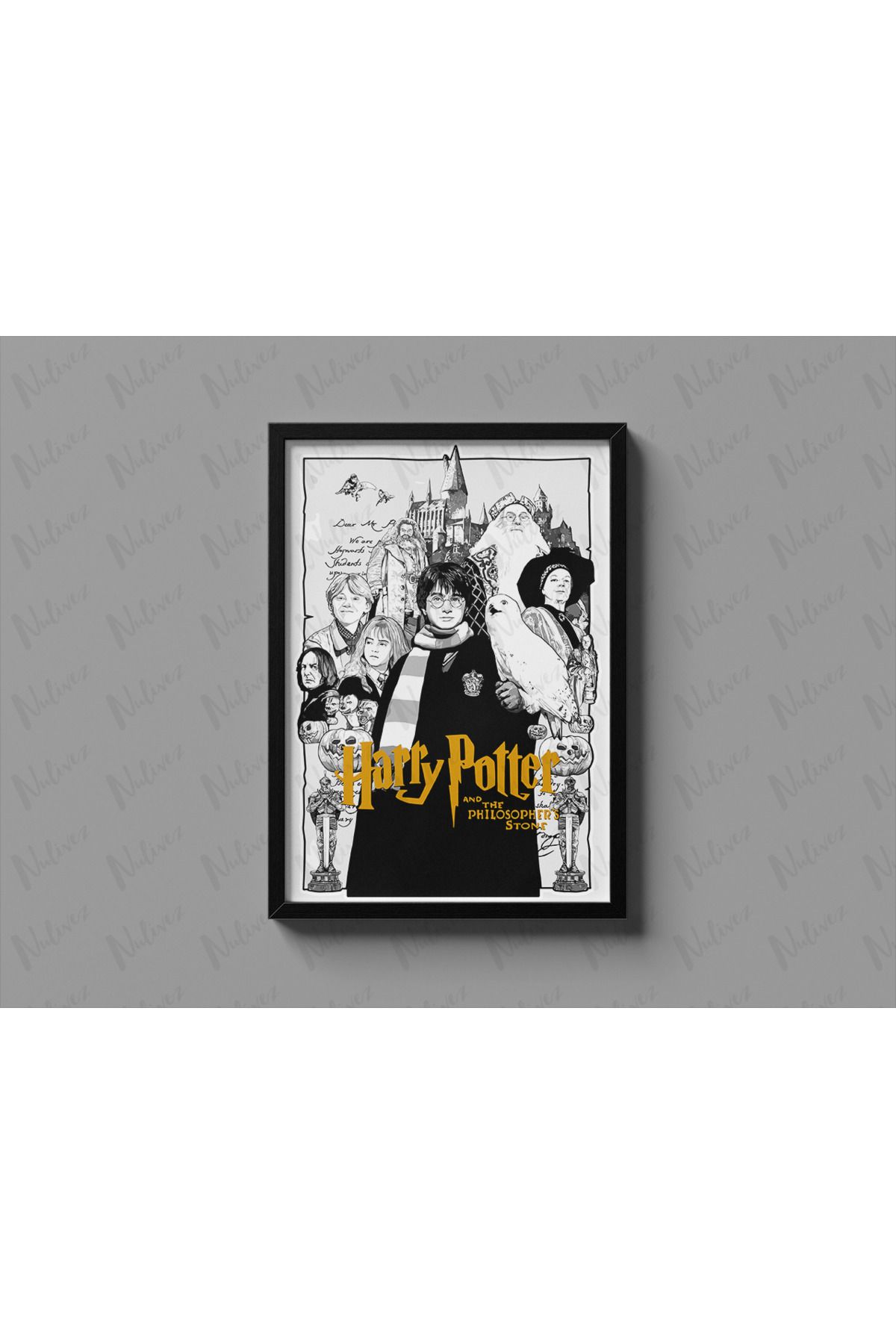 Nulivez Çerçeveli, Harry Potter Tasarımlı Dekoratif Tablo, 300 Micron Antireflecte Korumalı Tablo