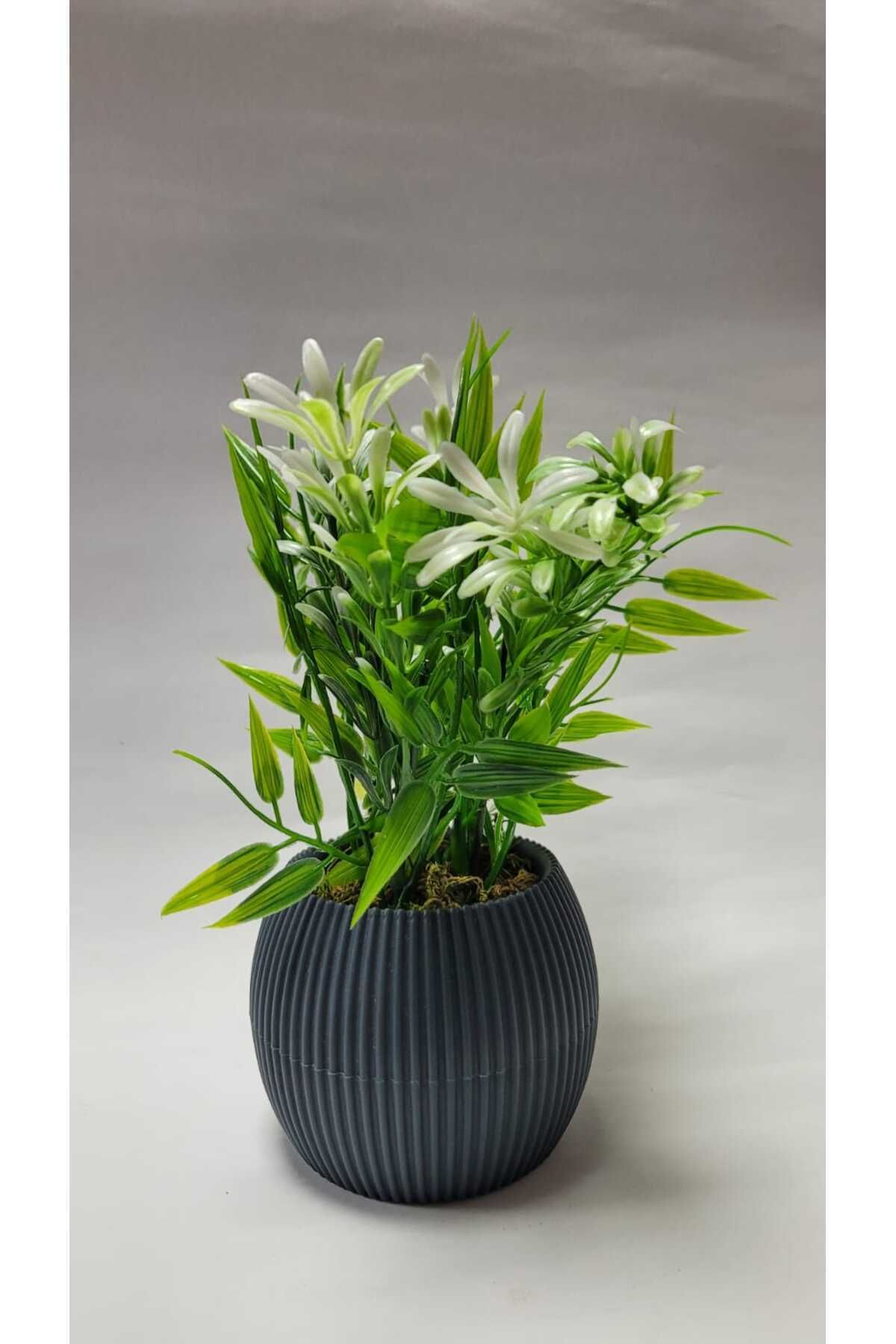 Elioure Yeşil mini yapay çim bitki, taş yosunlu dekor, 17 cm, banyo, mutfak, masa süsü