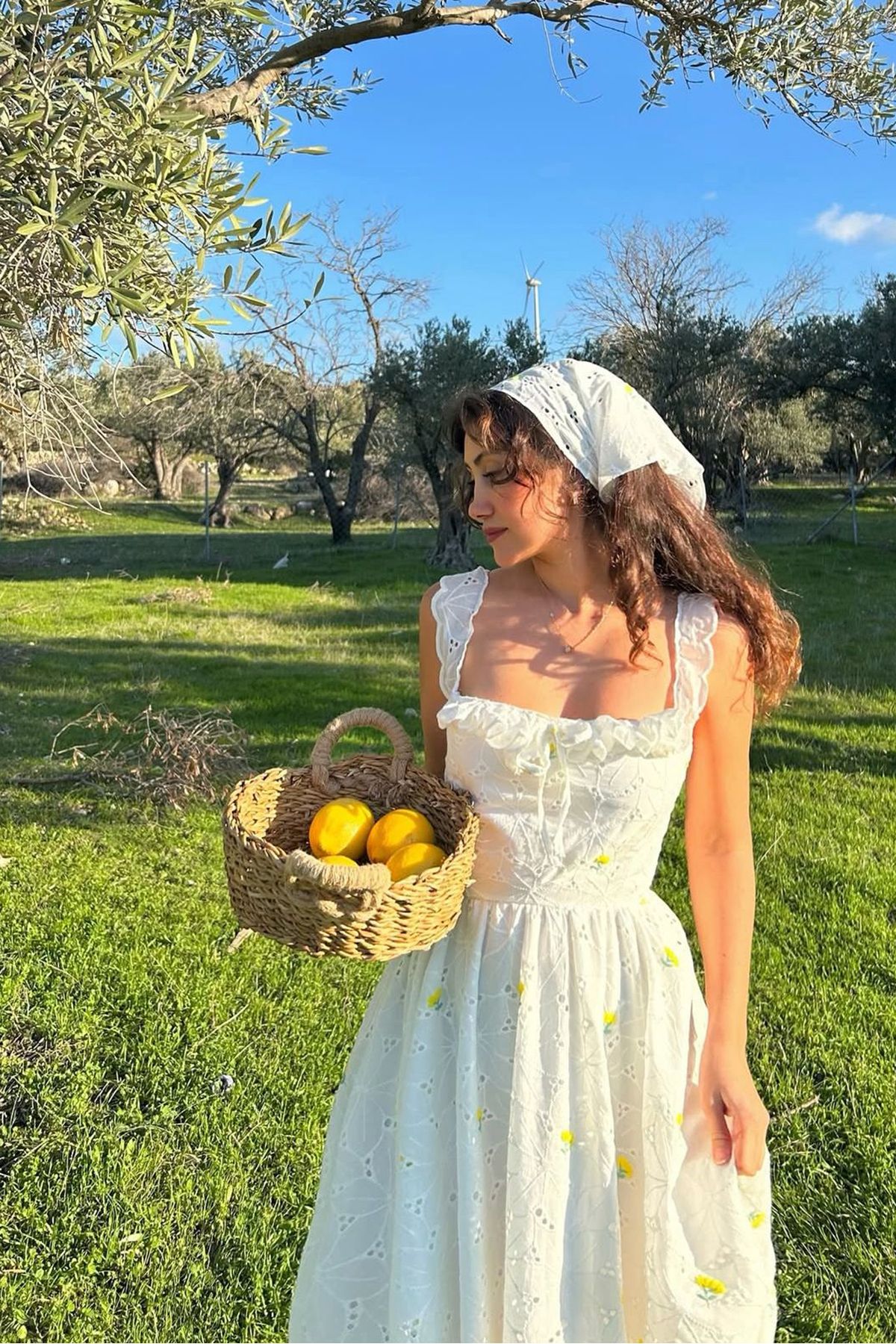 Neşeli Butik kadın brodeli çiçek nakışlı fırfırlı elbise NBEMP04