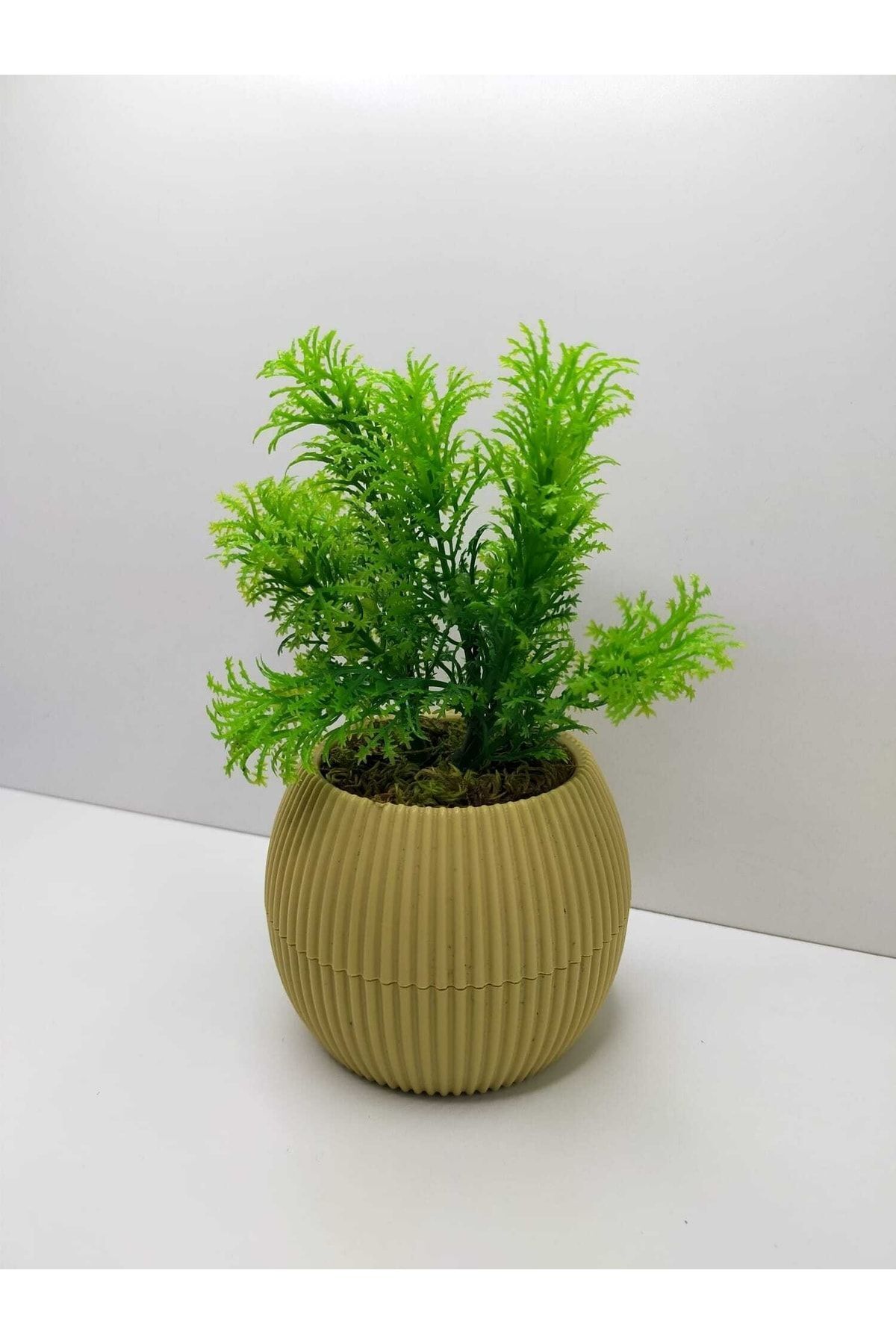 Elioure Canlı Yeşil Mini Saksıda Yapay Bitki, Dekoratif ve Dayanıklı 17 cm