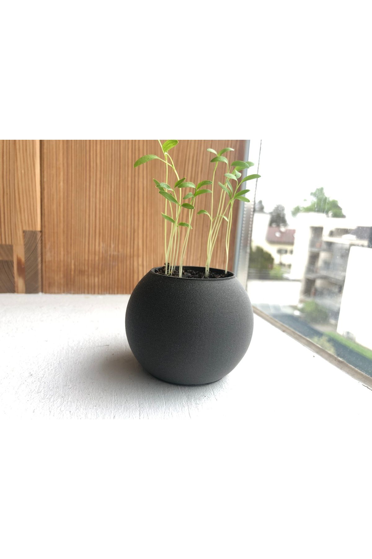 talaşoğlu Minimalist ekici top