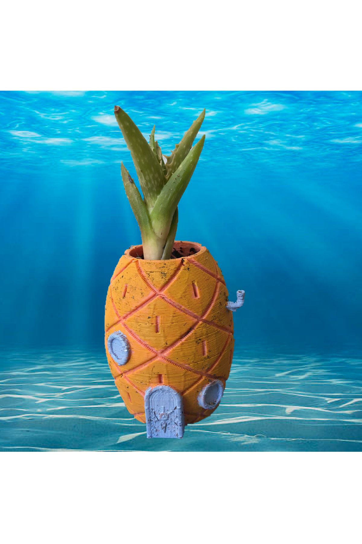 talaşoğlu Remix: SpongeBob'un Ev Ekicisi